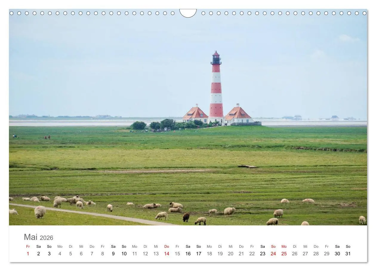 Bild: 9783457786253 | Nordfriesland (Wandkalender 2026 DIN A3 quer), CALVENDO Monatskalender