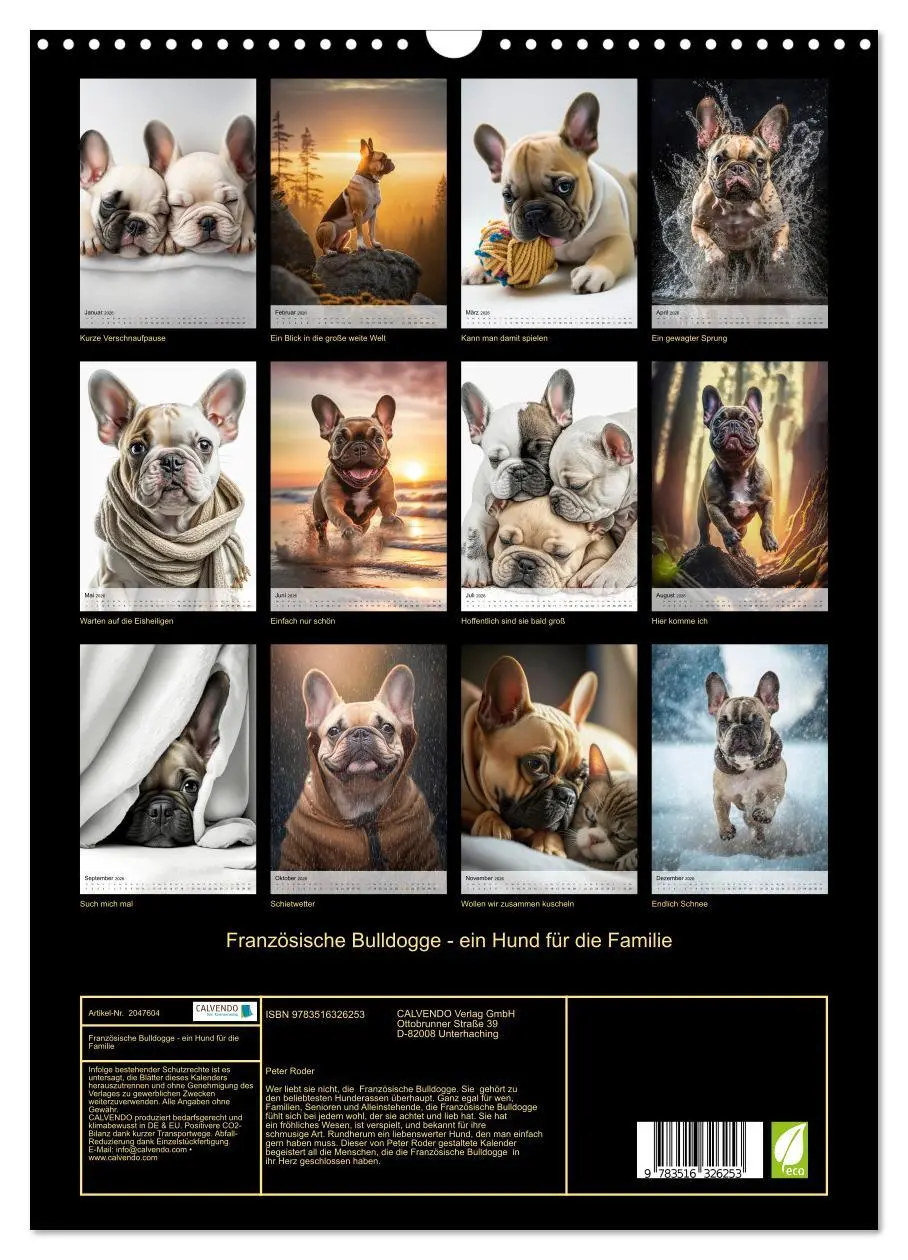 Bild: 9783516326253 | Französische Bulldogge - ein Hund für die Familie (Wandkalender...
