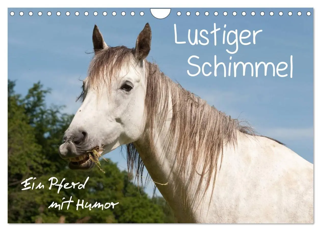 Cover: 9783435516353 | Lustiger Schimmel - ein Pferd mit Humor (Wandkalender 2025 DIN A4...