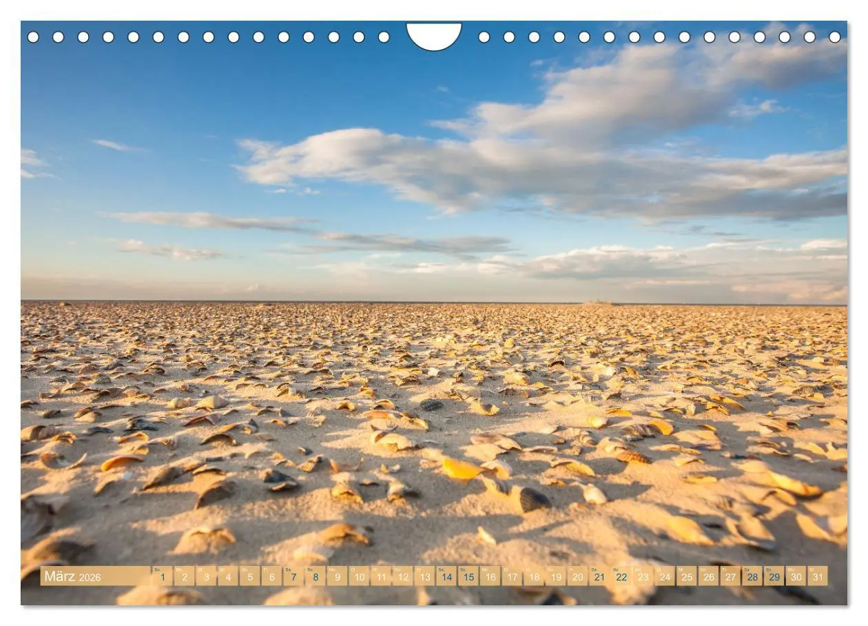 Bild: 9783457606353 | Moin Spiekeroog (Wandkalender 2026 DIN A4 quer), CALVENDO...