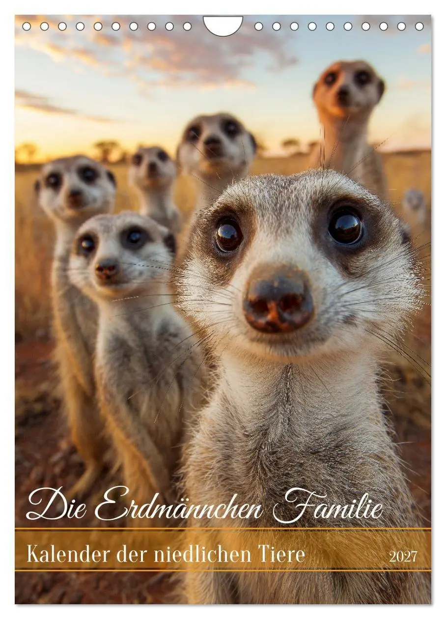 Cover: 9783516866353 | Die Erdmännchen Familie - Kalender der niedlichen Tiere...