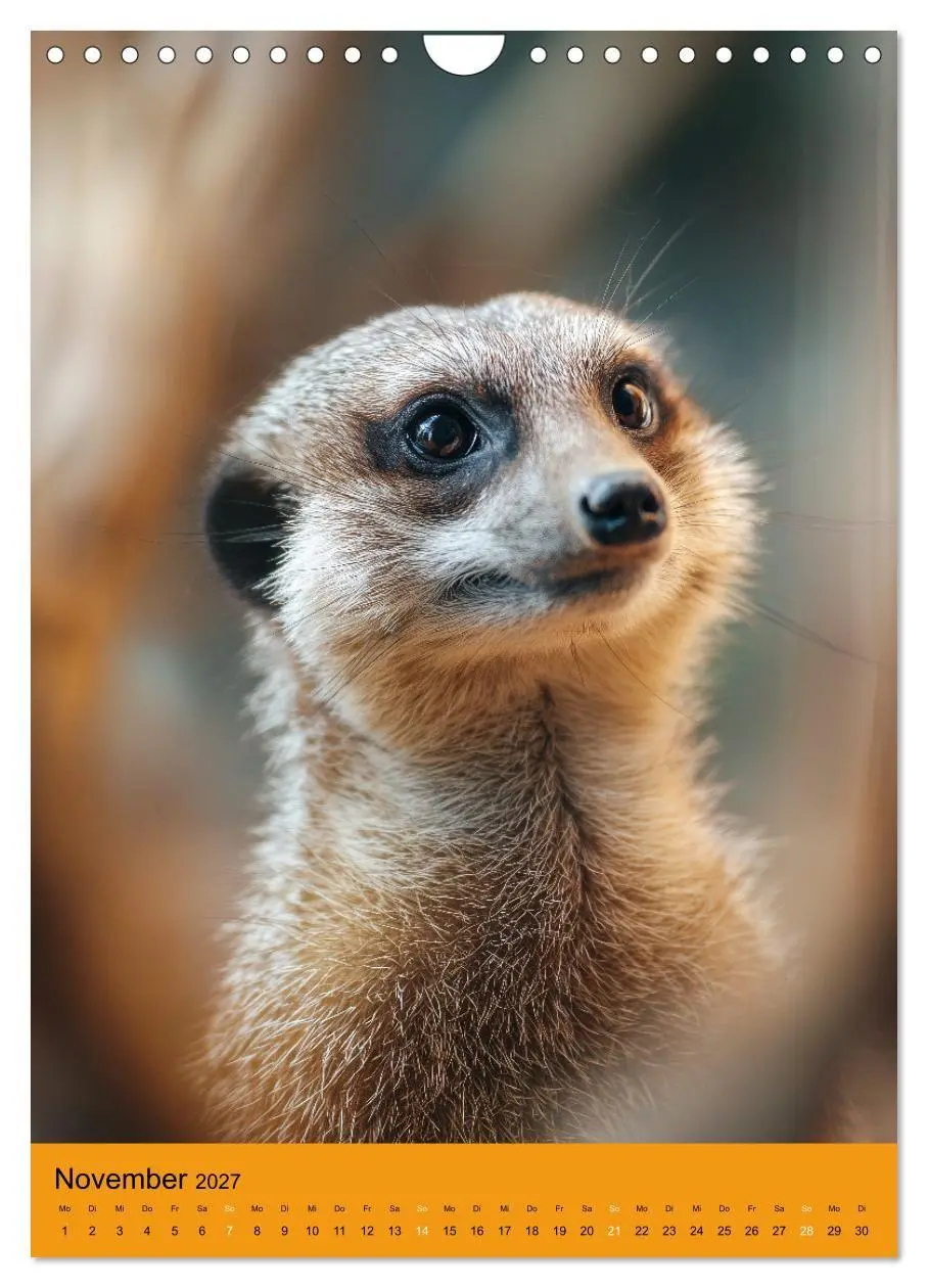 Bild: 9783516866353 | Die Erdmännchen Familie - Kalender der niedlichen Tiere...