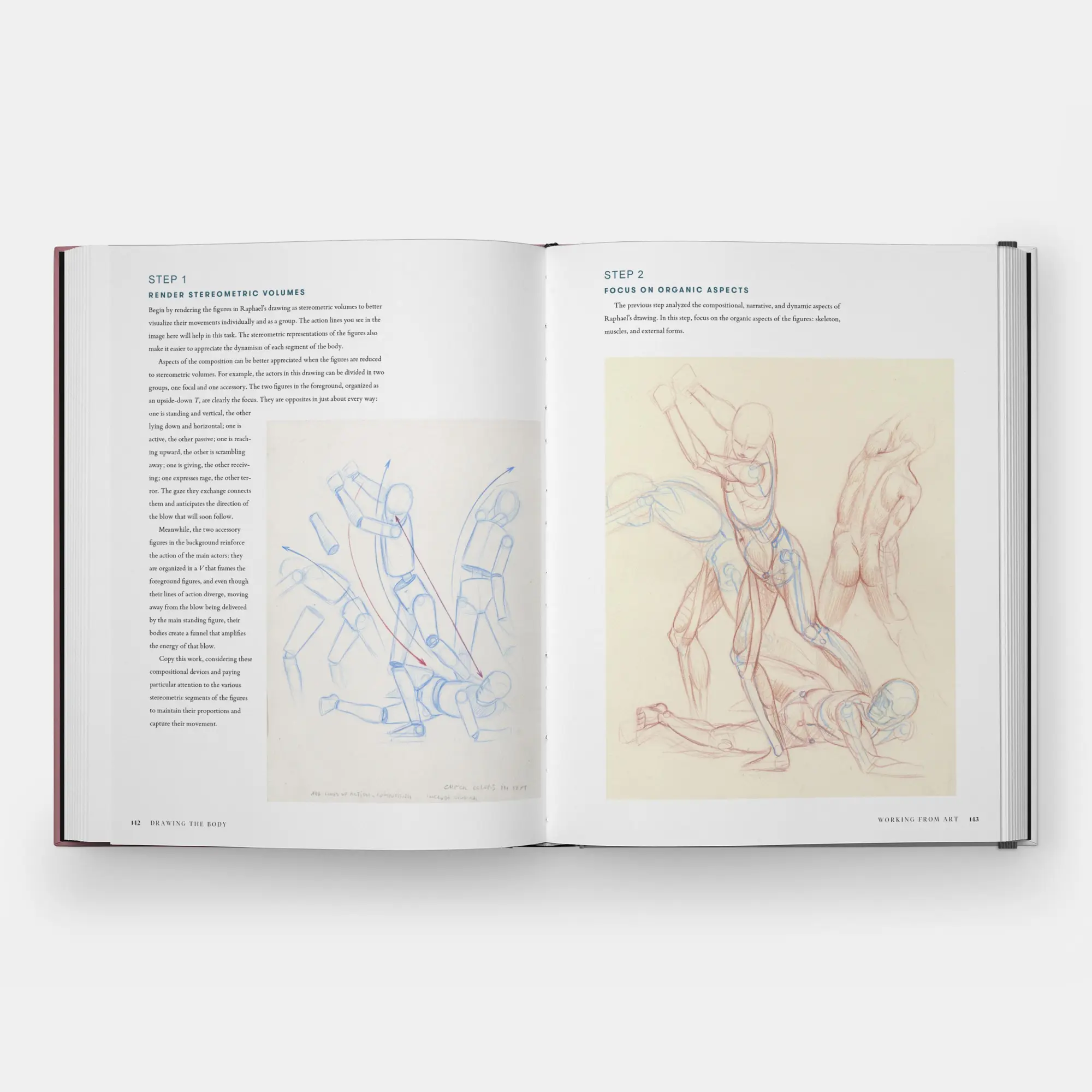 Bild: 9781580936453 | Drawing the Body | Reading the Human Form in Art | Roberto Osti | Buch