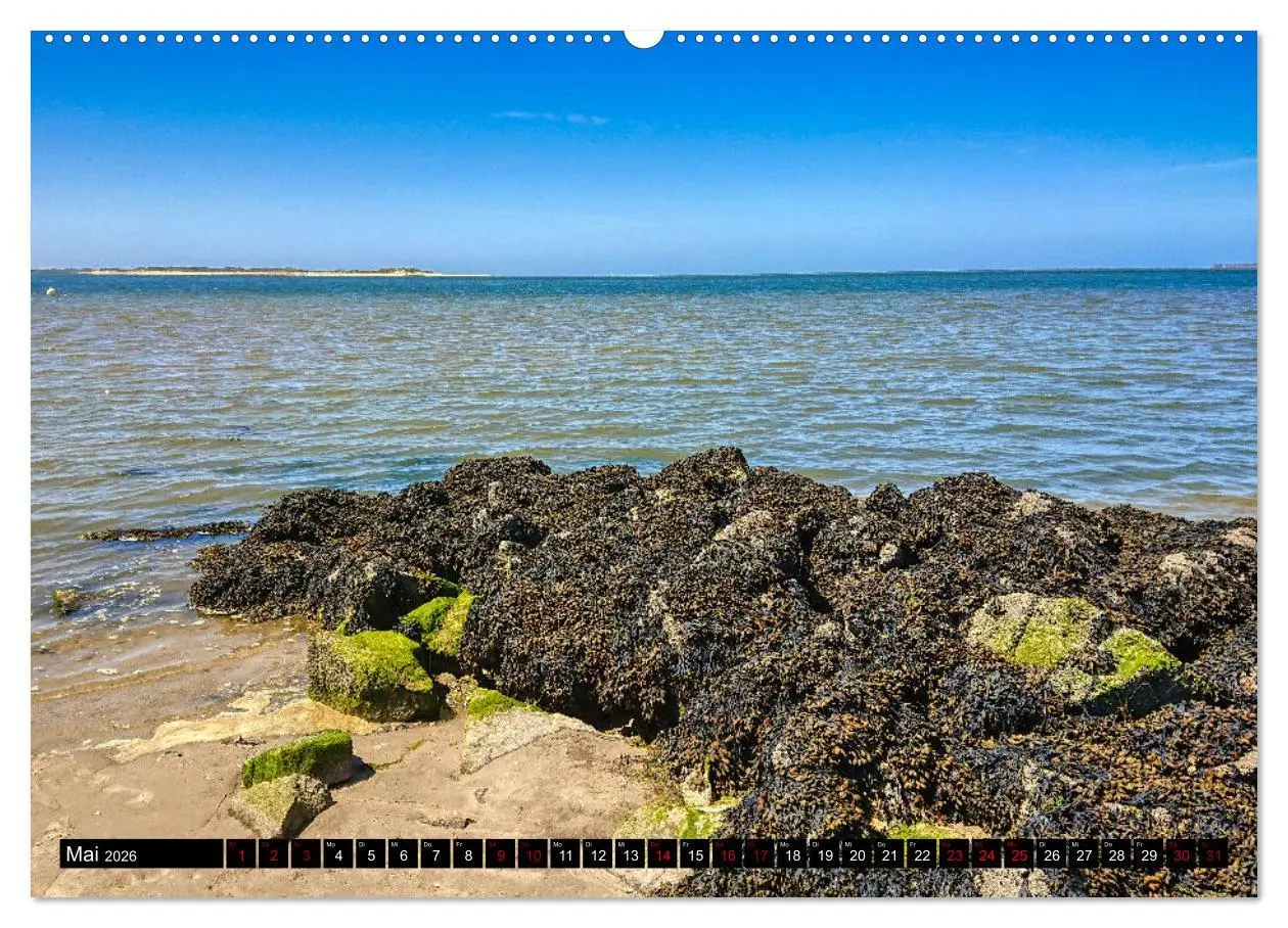 Bild: 9783457456453 | Föhr... liebt in eine Insel (hochwertiger Premium Wandkalender 2026...