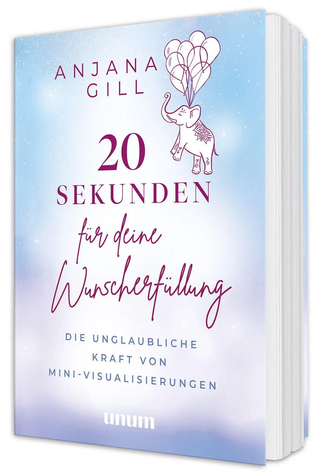 Cover: 9783833896453 | 20 Sekunden für deine Wunscherfüllung | Anjana Gill | Taschenbuch