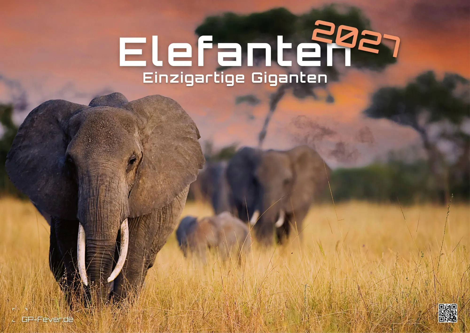 Cover: 9783986736453 | Elefanten - einzigartige Giganten - 2027 - Kalender DIN A3 | de | 2027