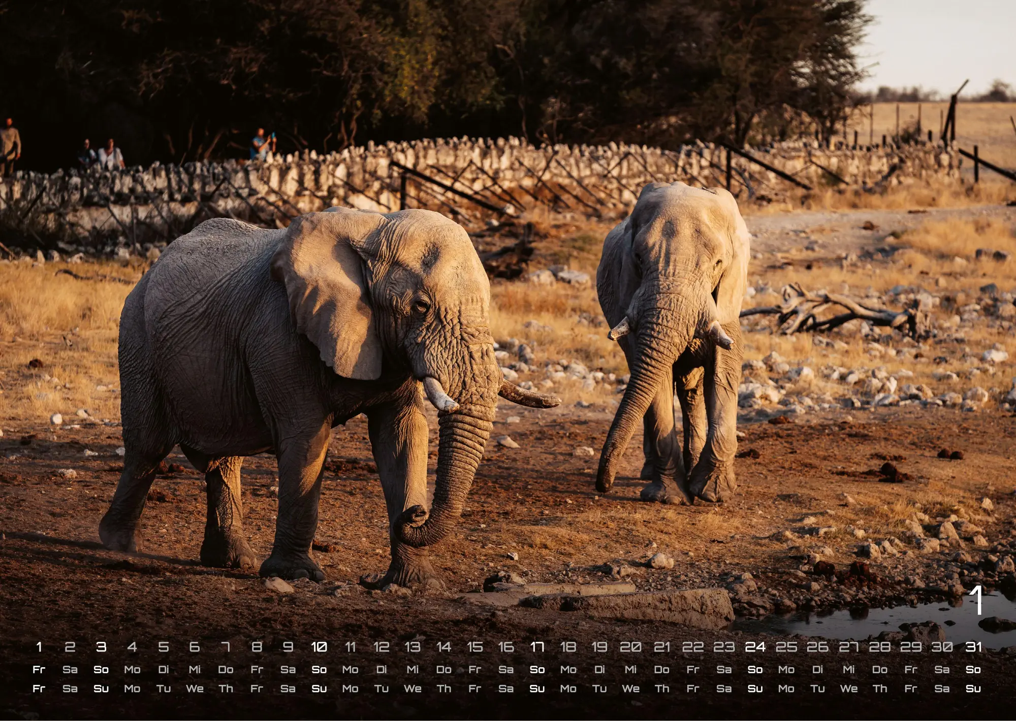 Bild: 9783986736453 | Elefanten - einzigartige Giganten - 2027 - Kalender DIN A3 | de | 2027