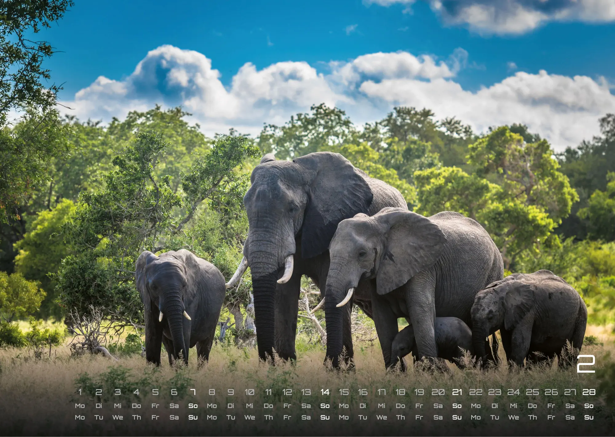 Bild: 9783986736453 | Elefanten - einzigartige Giganten - 2027 - Kalender DIN A3 | de | 2027