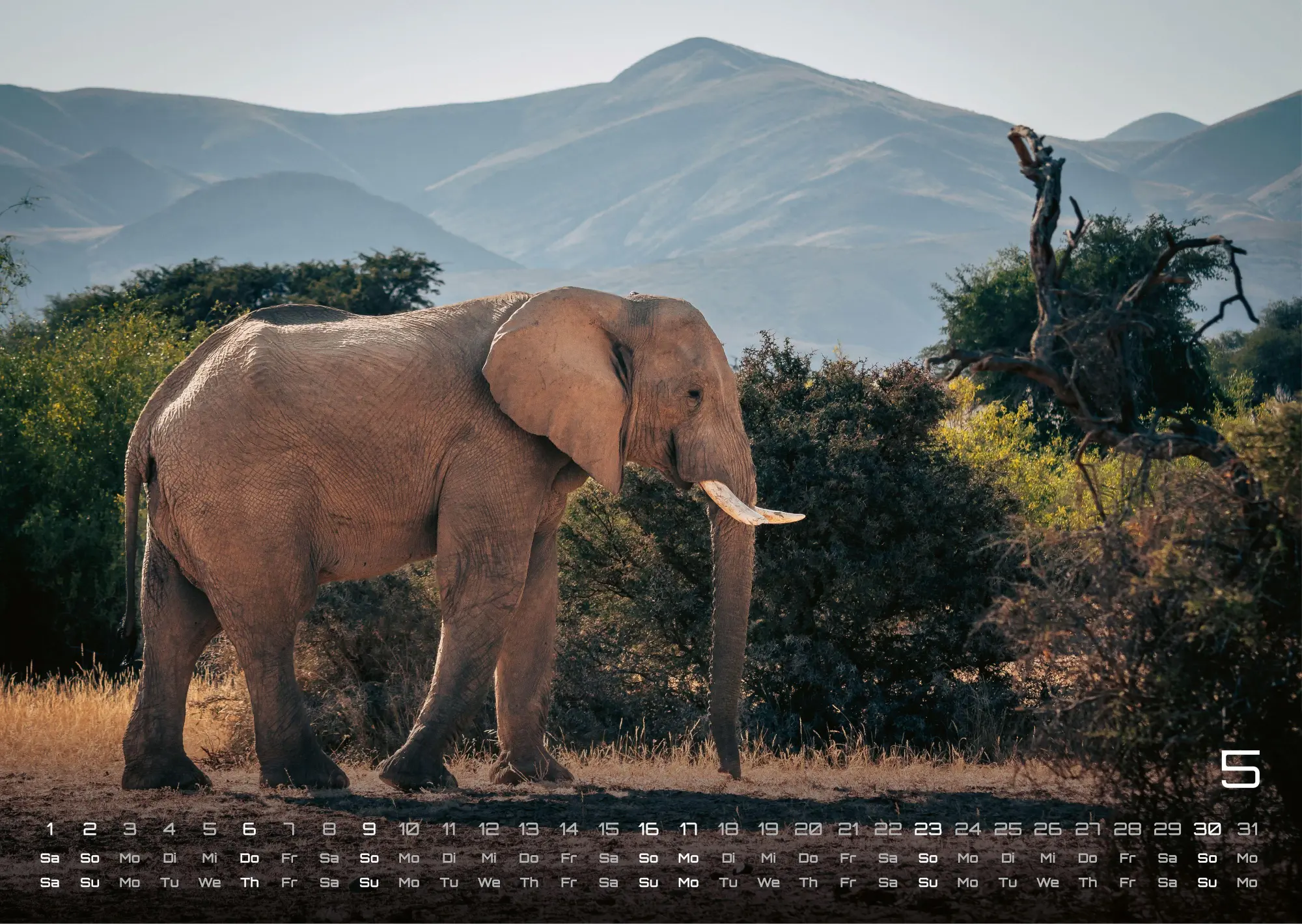Bild: 9783986736453 | Elefanten - einzigartige Giganten - 2027 - Kalender DIN A3 | de | 2027