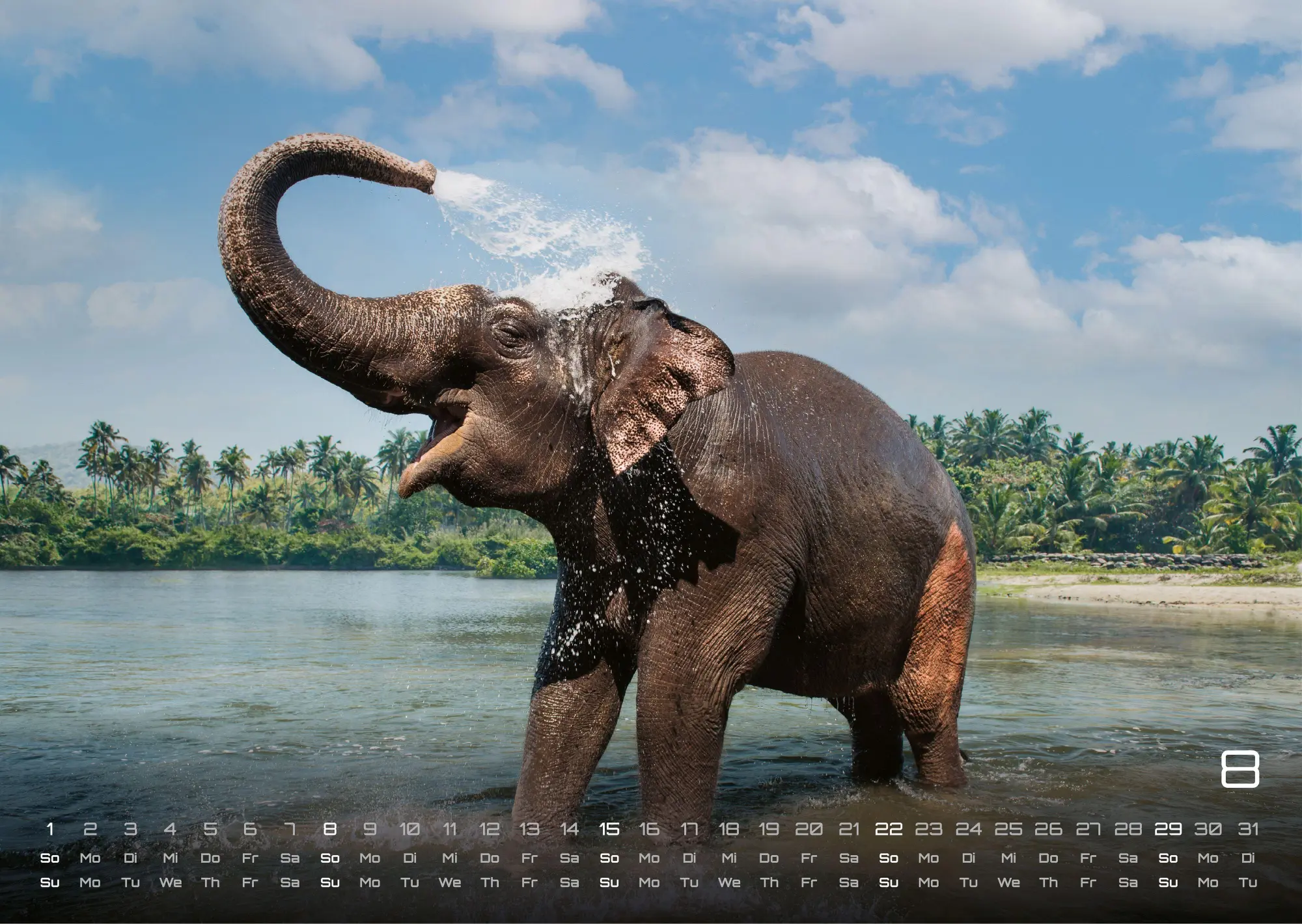 Bild: 9783986736453 | Elefanten - einzigartige Giganten - 2027 - Kalender DIN A3 | de | 2027