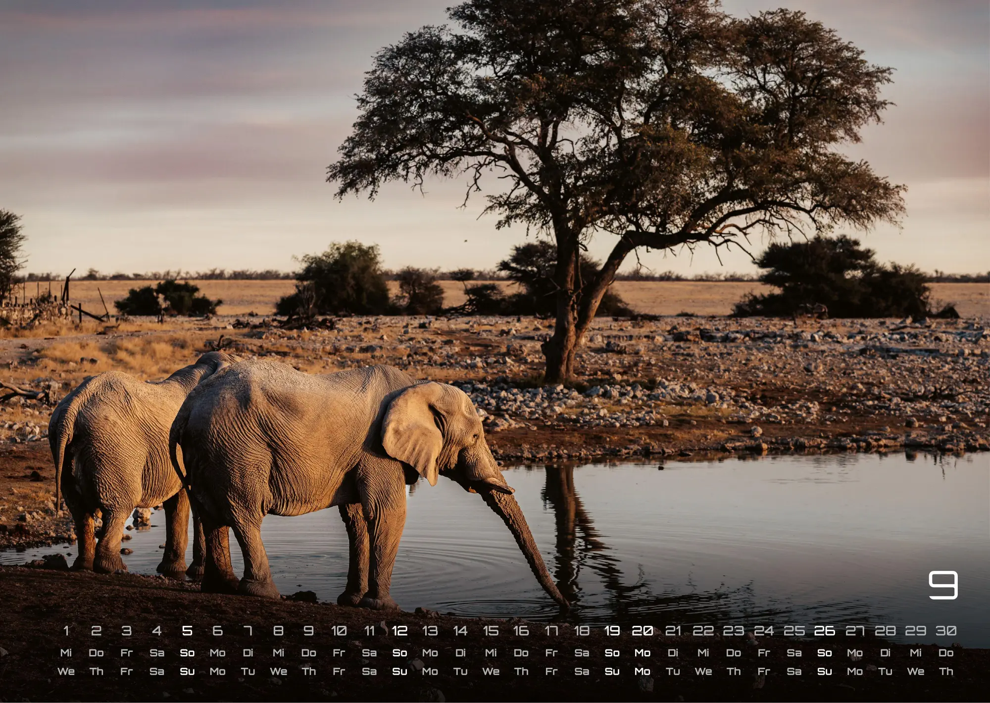 Bild: 9783986736453 | Elefanten - einzigartige Giganten - 2027 - Kalender DIN A3 | de | 2027