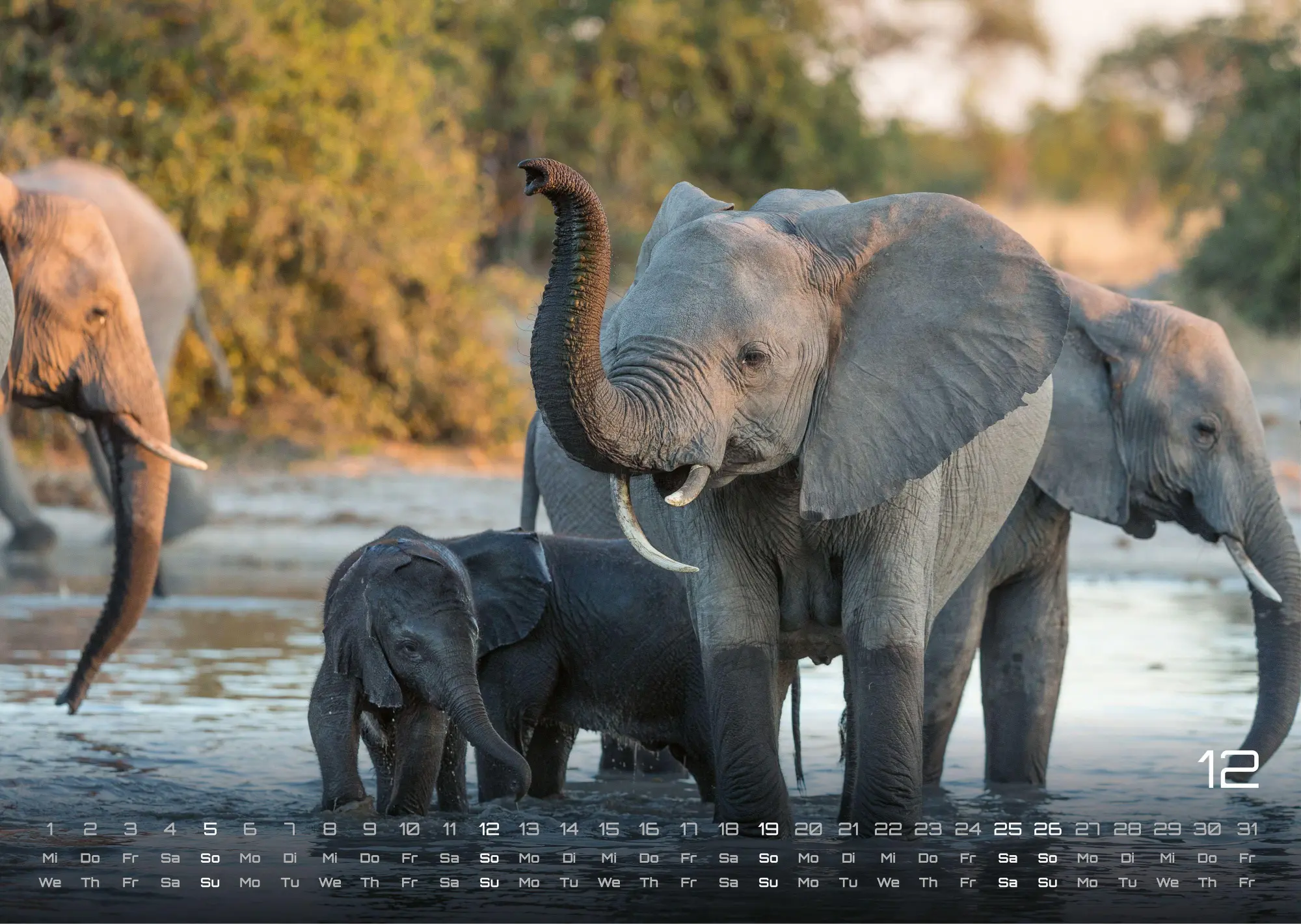 Bild: 9783986736453 | Elefanten - einzigartige Giganten - 2027 - Kalender DIN A3 | de | 2027