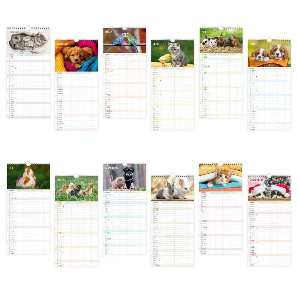 Bild: 9783988026453 | TRÖTSCH - Familienkalender Unsere Lieblinge 2027 | Wandkalender | KG