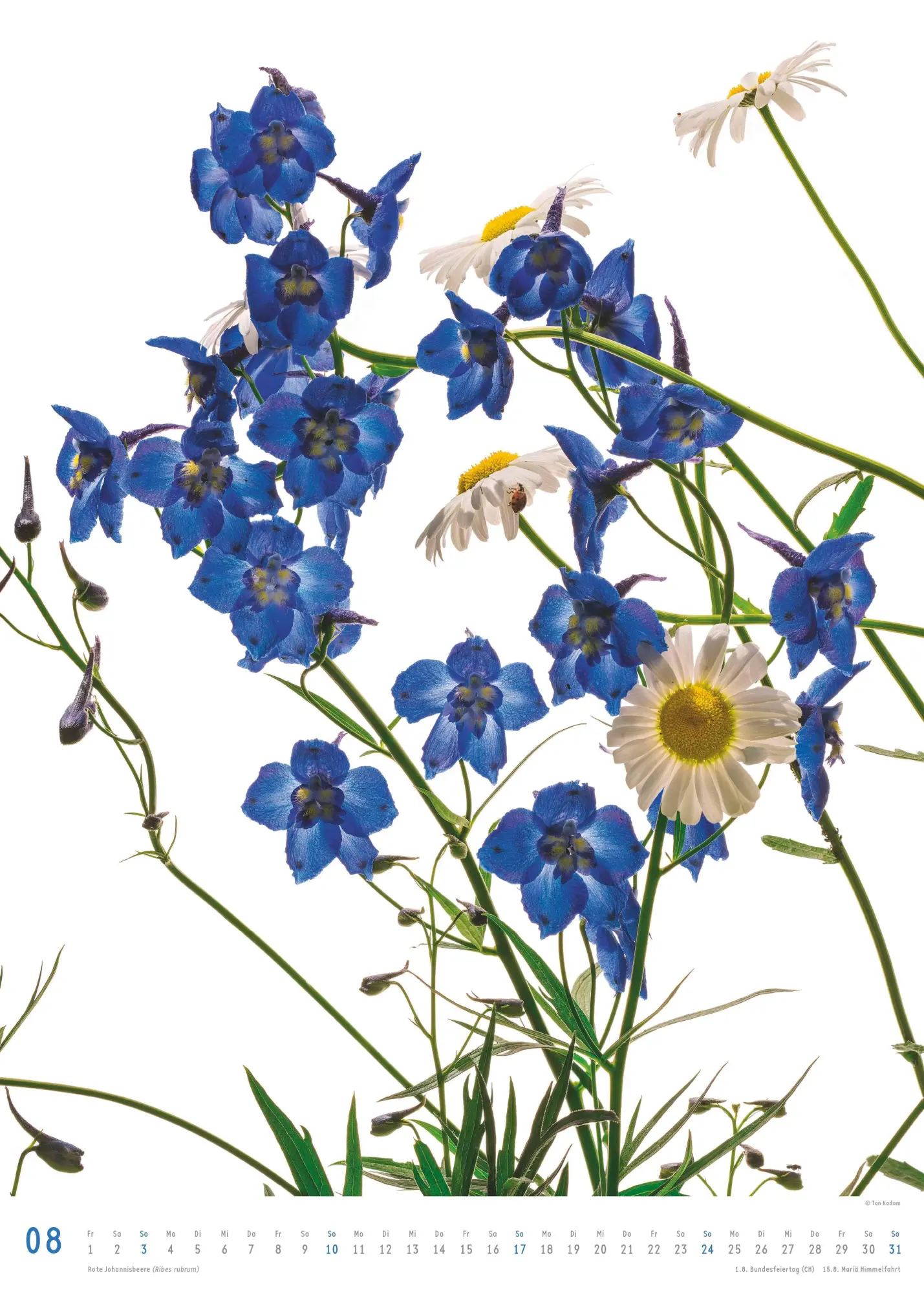 Bild: 4069095006553 | Best of Flora 2026 - Blumen-Kalender von DUMONT- Foto-Kunst von Tan...