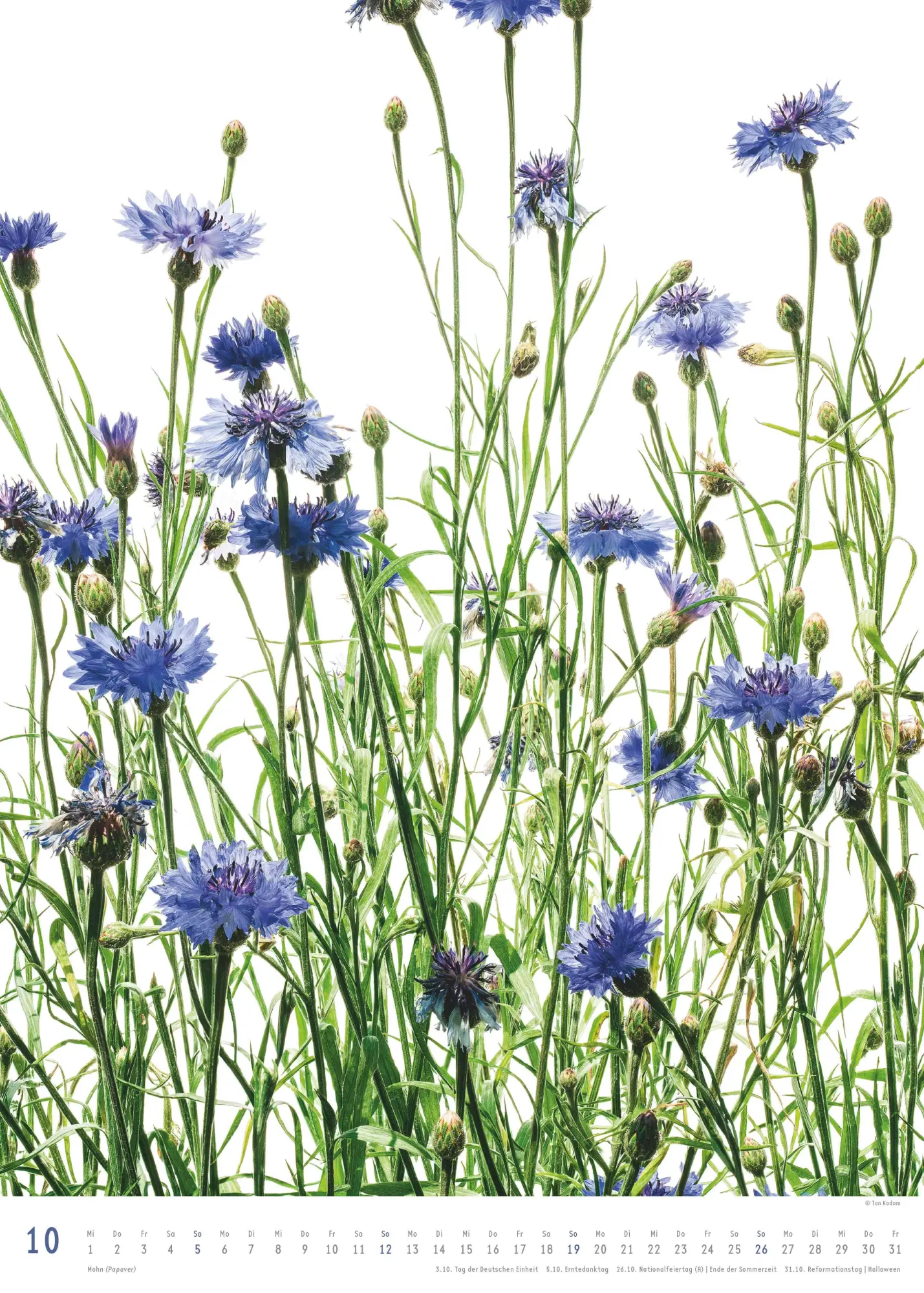 Bild: 4069095006553 | Best of Flora 2026 - Blumen-Kalender von DUMONT- Foto-Kunst von Tan...