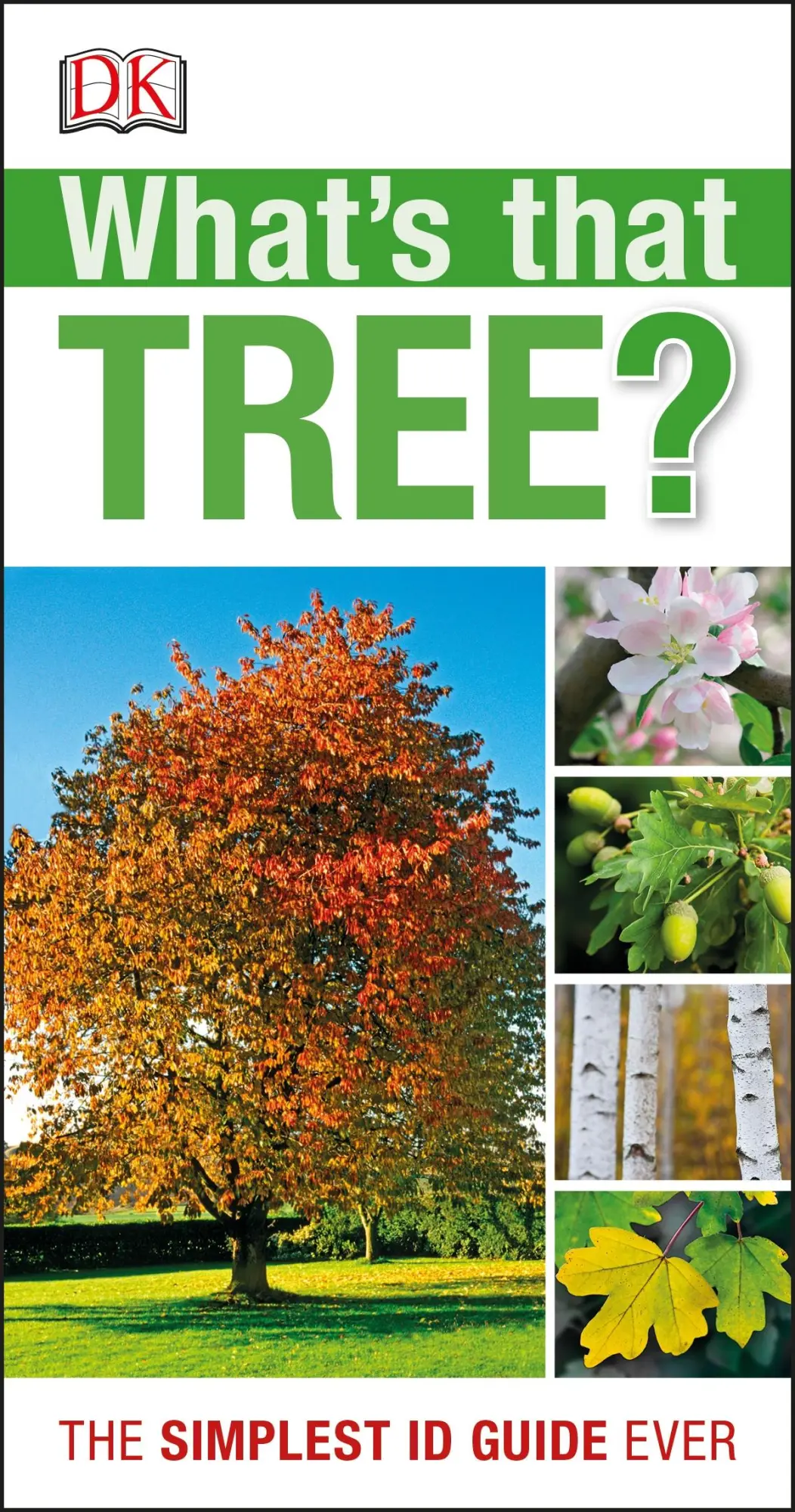 Cover: 9781409366553 | What's that Tree? | The Simplest ID Guide Ever | Dk | Taschenbuch
