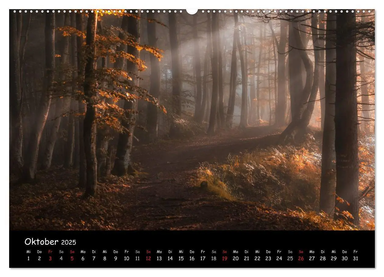 Bild: 9783435596553 | Faszination Morgenlicht (Wandkalender 2025 DIN A2 quer), CALVENDO...