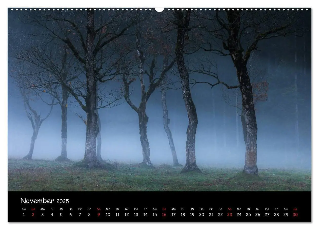 Bild: 9783435596553 | Faszination Morgenlicht (Wandkalender 2025 DIN A2 quer), CALVENDO...