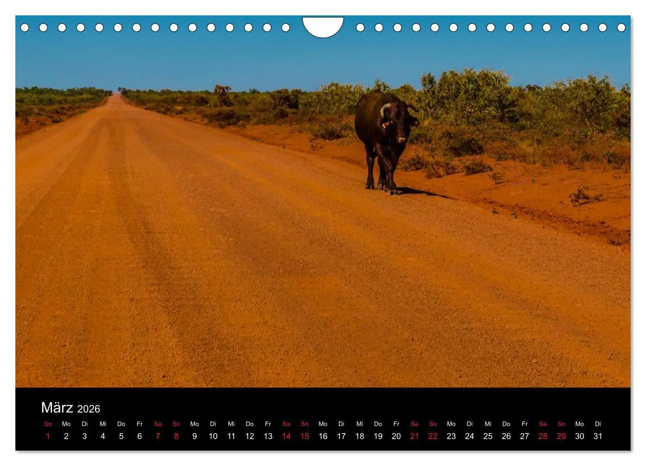 Bild: 9783516156553 | Australien - Der Westen (Wandkalender 2026 DIN A4 quer), CALVENDO...