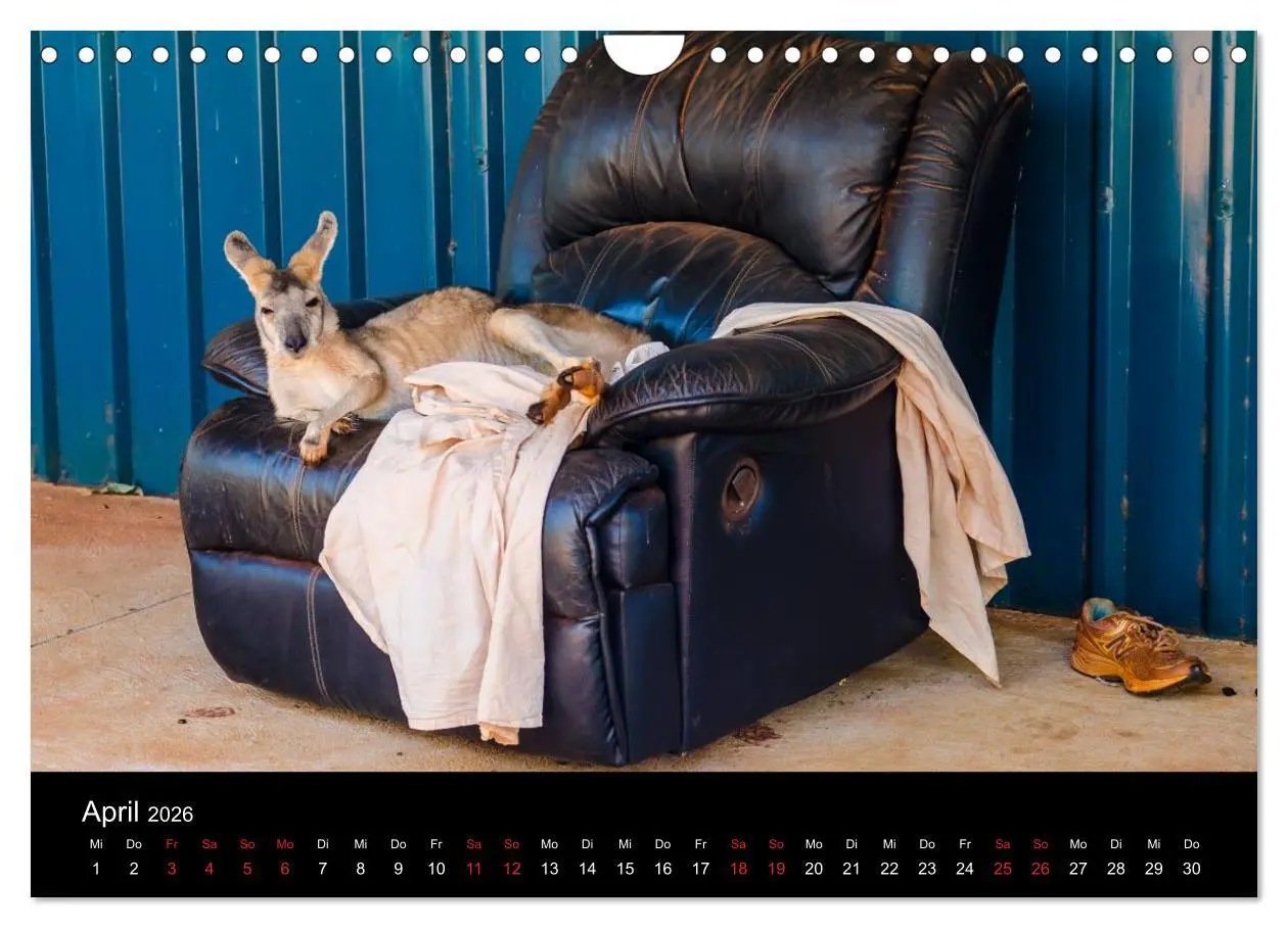 Bild: 9783516156553 | Australien - Der Westen (Wandkalender 2026 DIN A4 quer), CALVENDO...