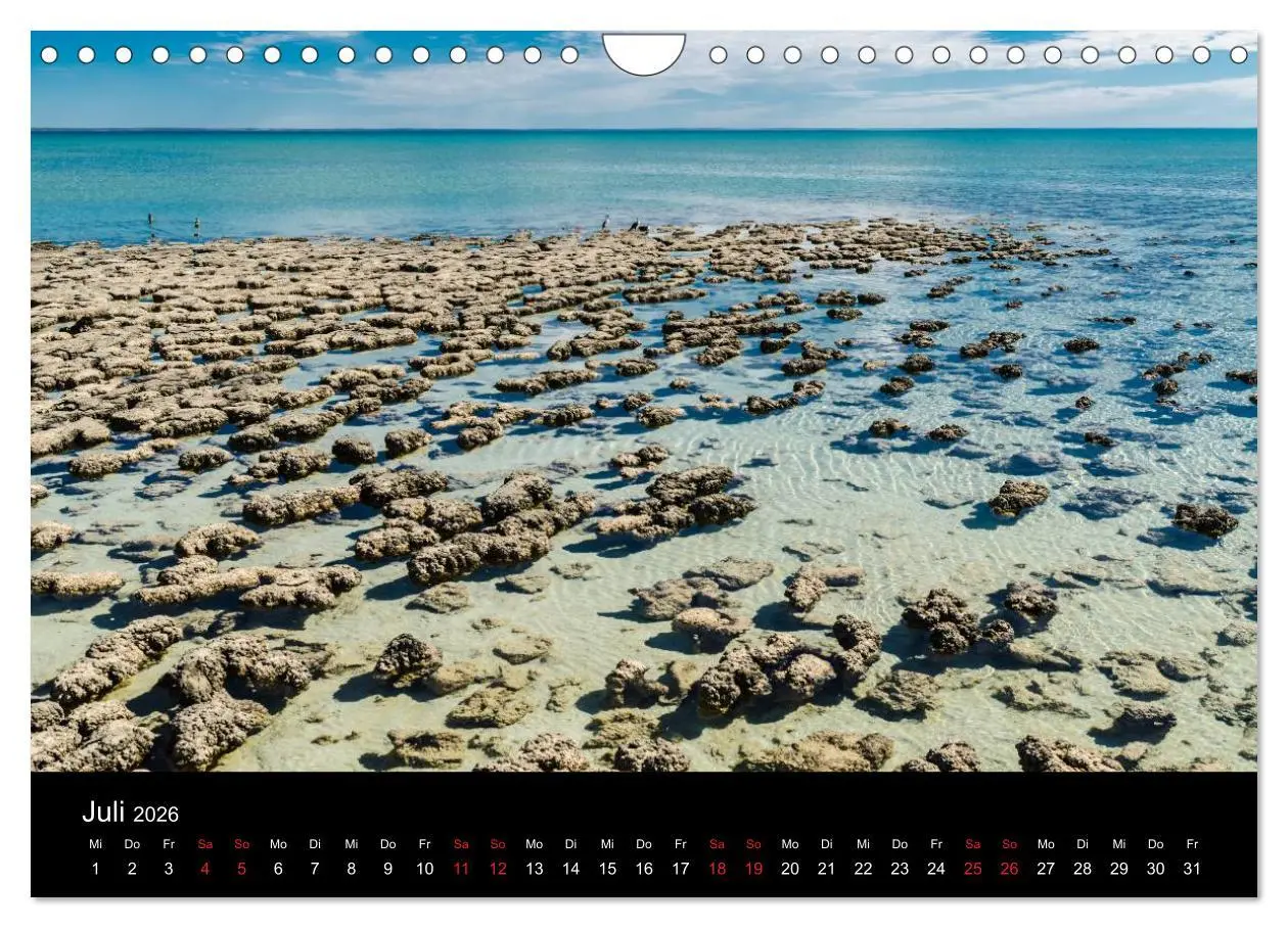 Bild: 9783516156553 | Australien - Der Westen (Wandkalender 2026 DIN A4 quer), CALVENDO...