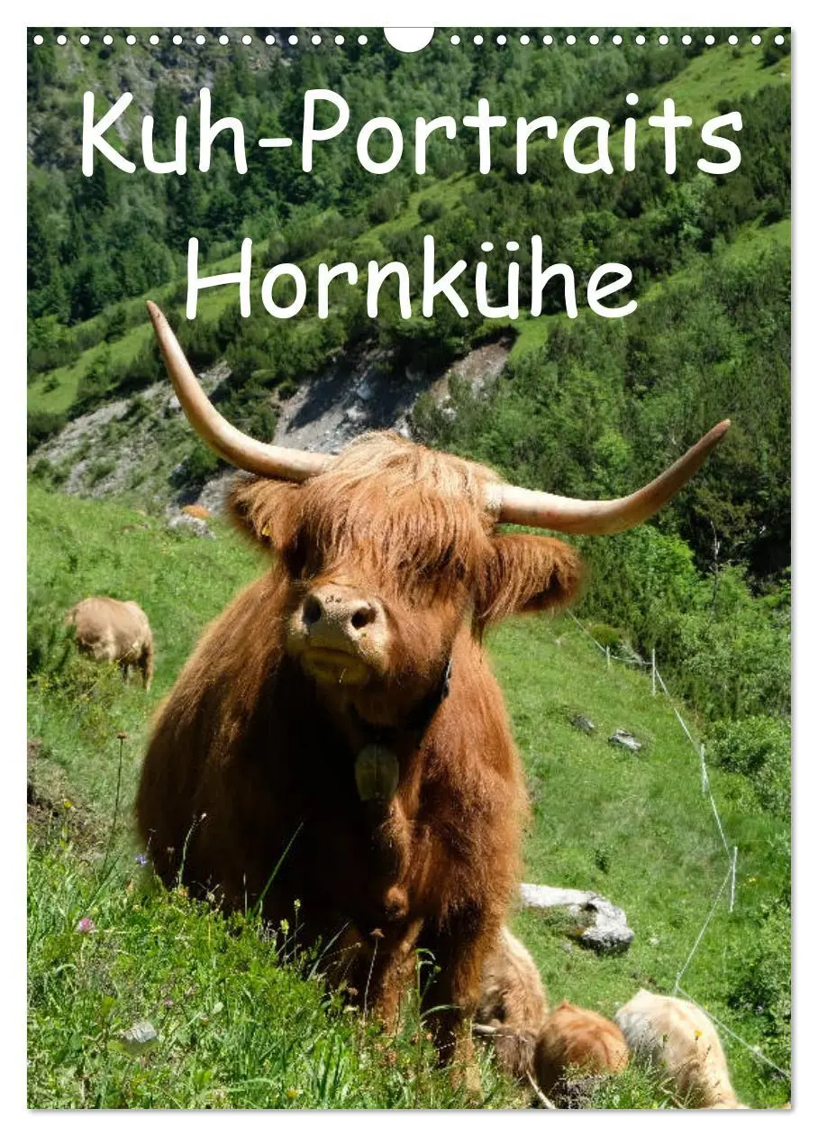 Cover: 9783516396553 | Kuhportraits Hornkühe (Wandkalender 2026 DIN A3 hoch), CALVENDO...