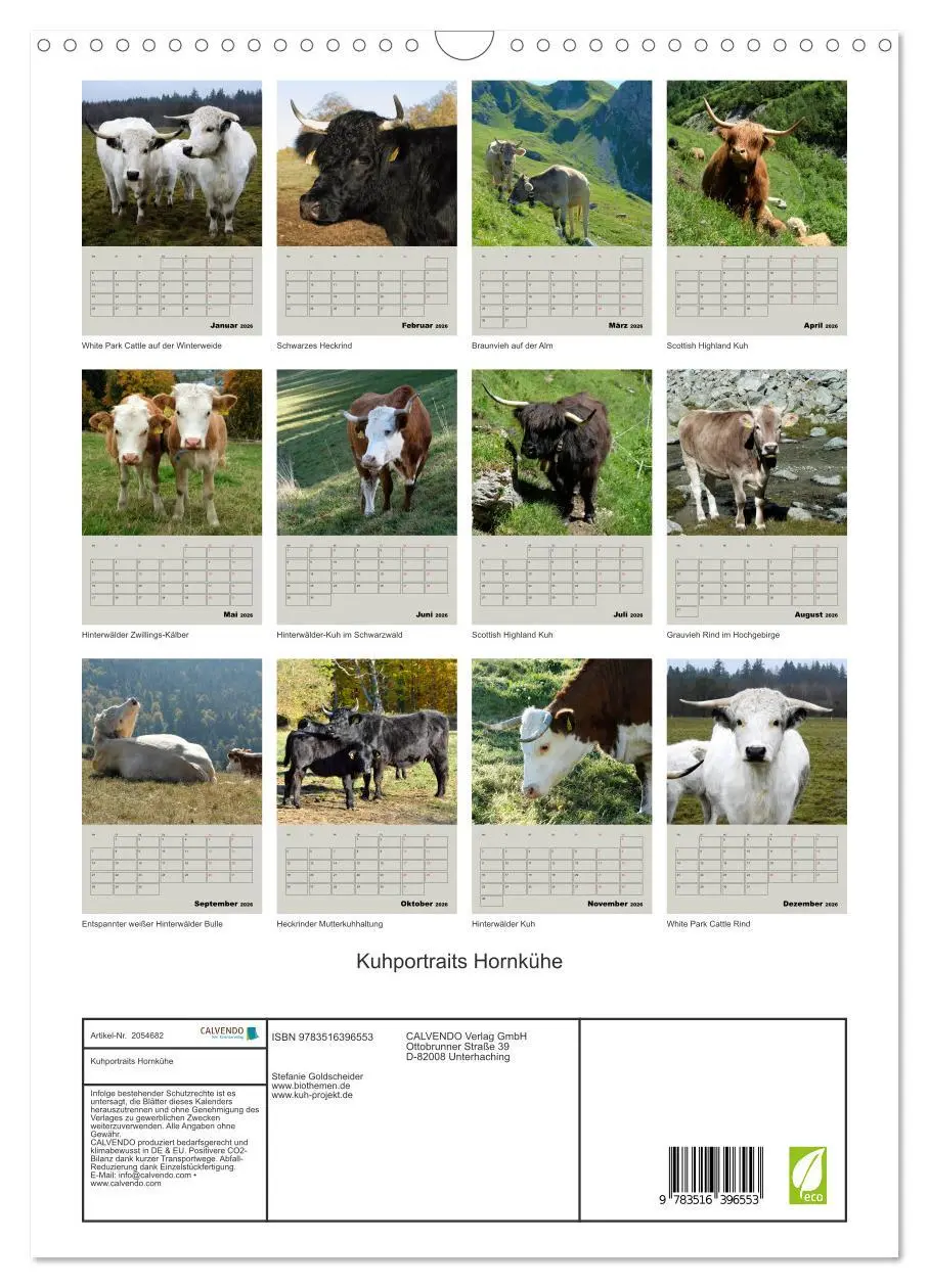 Bild: 9783516396553 | Kuhportraits Hornkühe (Wandkalender 2026 DIN A3 hoch), CALVENDO...