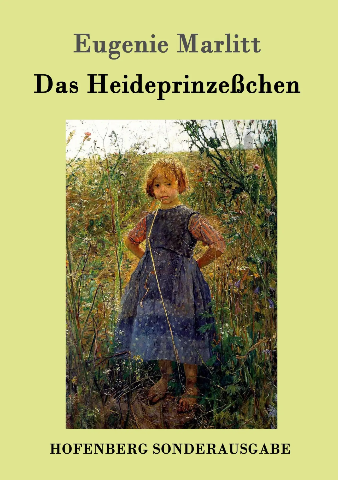 Cover: 9783843096553 | Das Heideprinzeßchen | Eugenie Marlitt | Taschenbuch | 336 S. | 2015