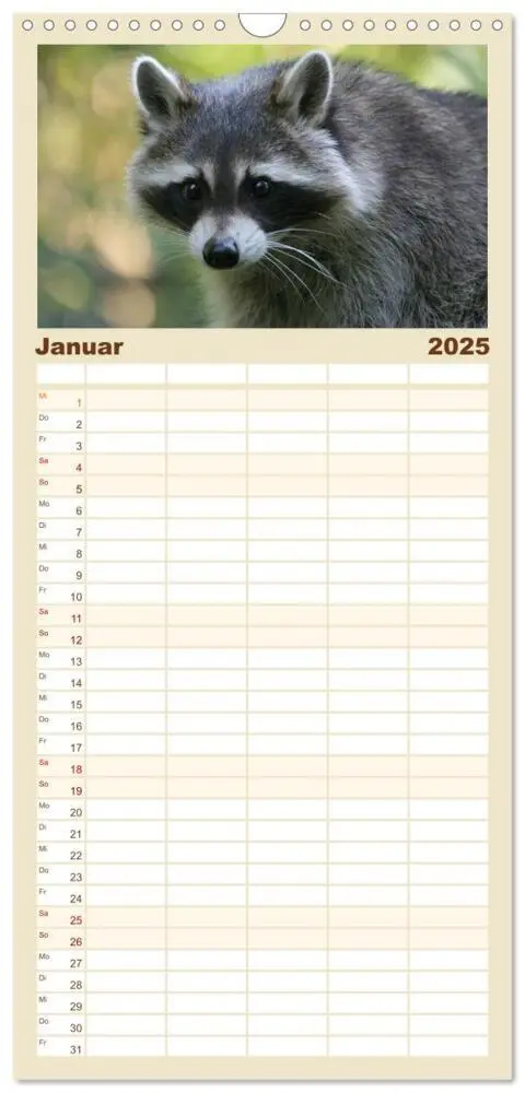 Bild: 9783457126653 | Familienplaner 2025 - Waschbären mit 5 Spalten (Wandkalender, 21 x...