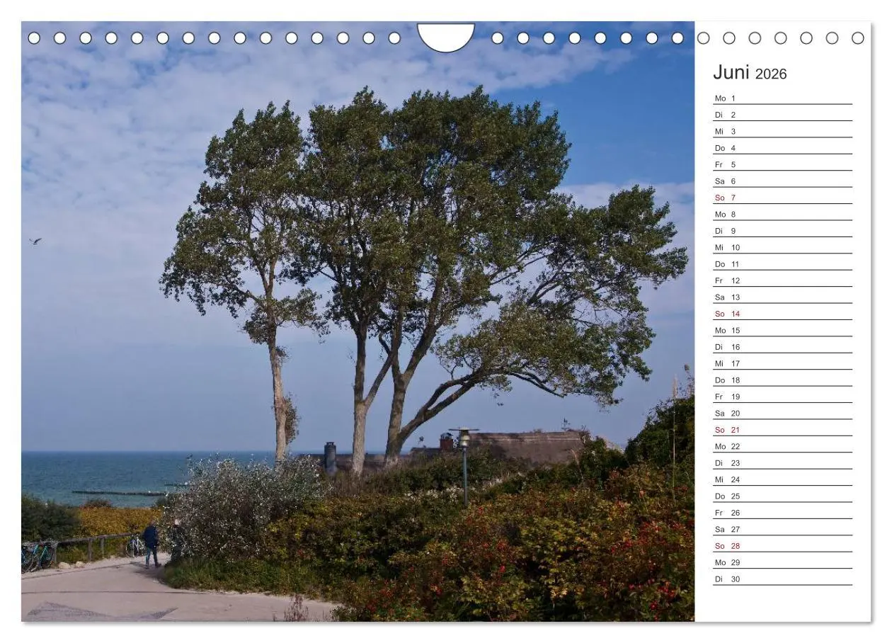 Bild: 9783457986653 | Künstlerparadies Ahrenshoop (Wandkalender 2026 DIN A4 quer),...