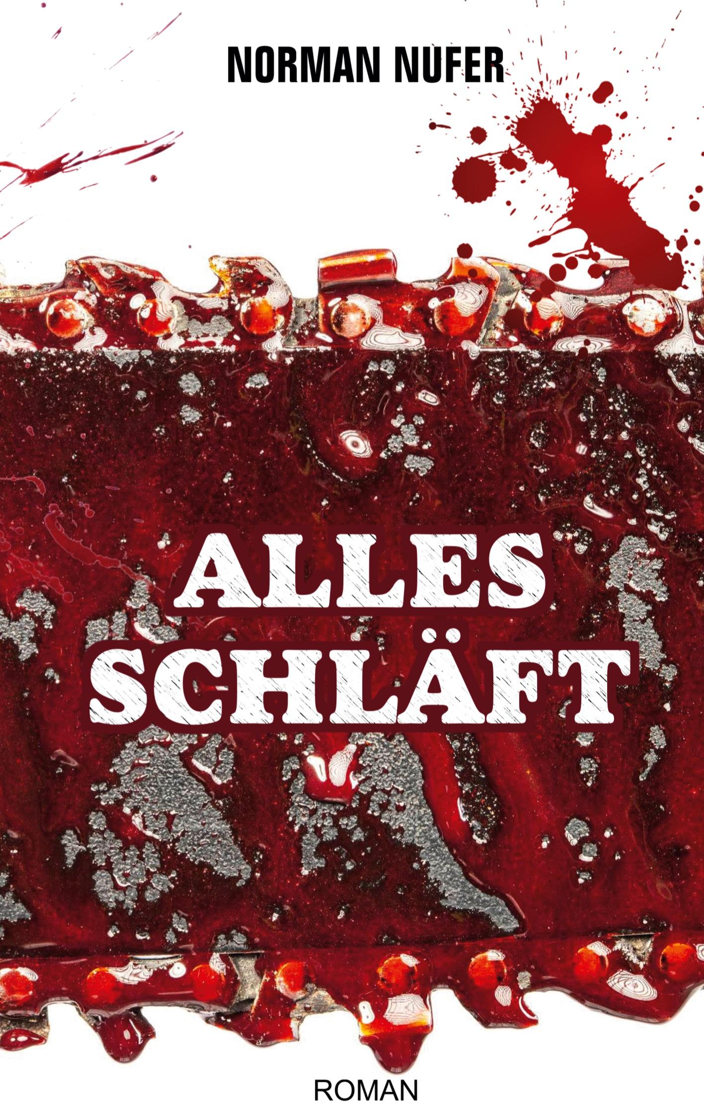 Cover: 9783740716653 | Alles schläft | Norman Nufer | Taschenbuch | Paperback | 354 S. | 2023