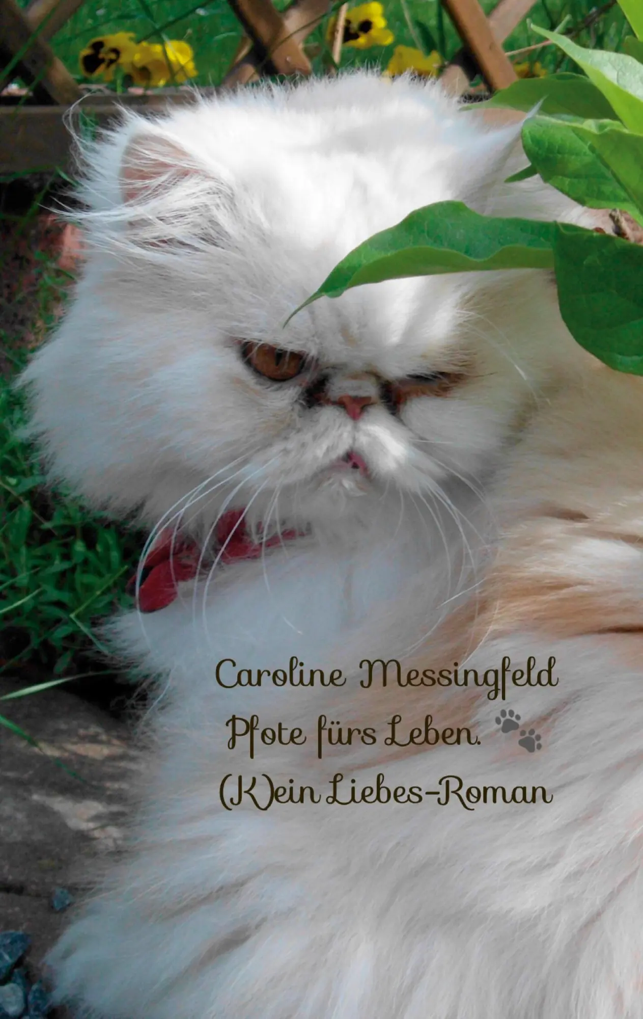 Cover: 9783751906753 | Pfote fürs Leben. | (K)ein Liebes-Roman | Caroline Messingfeld | Buch