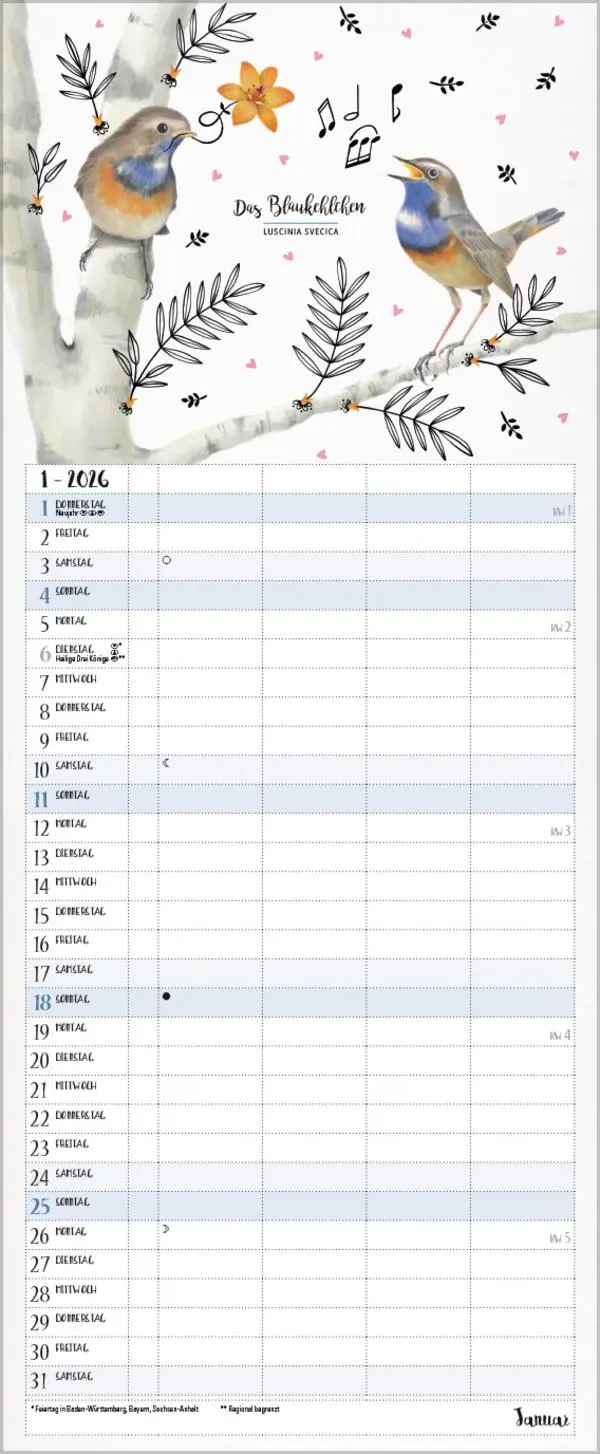 Bild: 9783731886853 | Familienplaner Pretty Birds 2026 | Verlag Korsch | Kalender | 14 S.