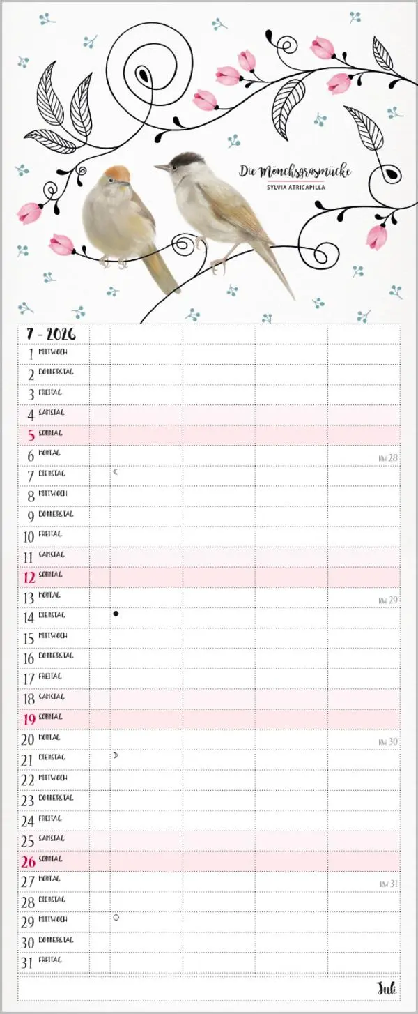 Bild: 9783731886853 | Familienplaner Pretty Birds 2026 | Verlag Korsch | Kalender | 14 S.