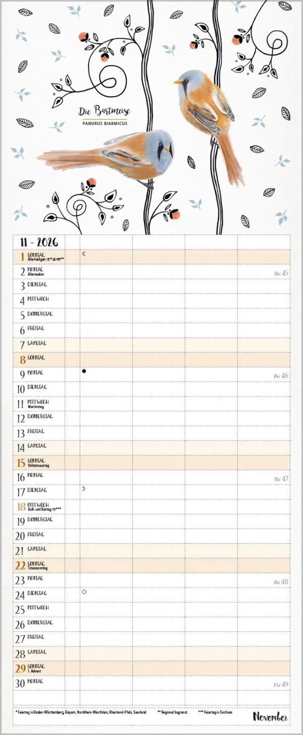 Bild: 9783731886853 | Familienplaner Pretty Birds 2026 | Verlag Korsch | Kalender | 14 S.