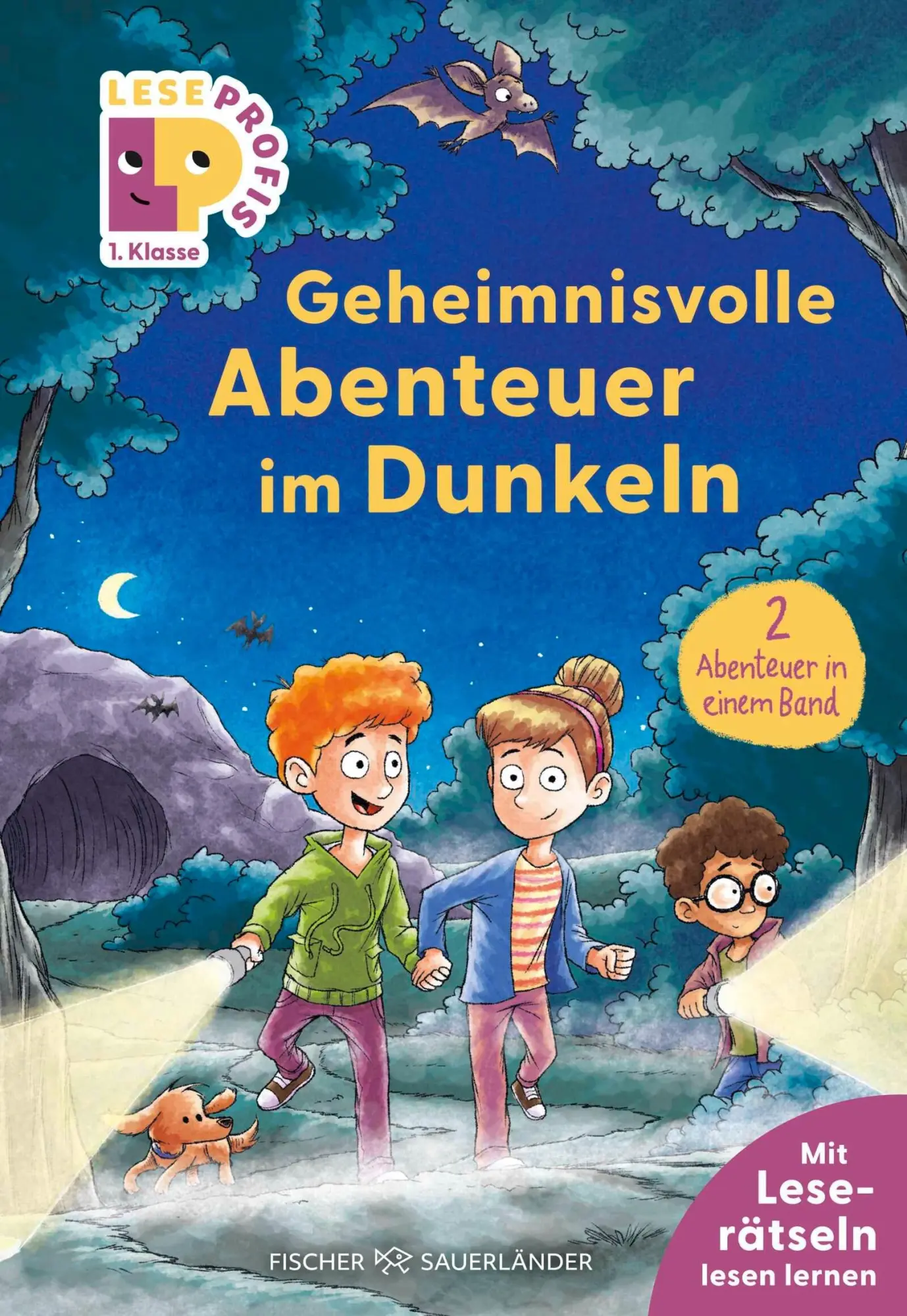 Cover: 9783737376853 | Leseprofis - Geheimnisvolle Abenteuer im Dunkeln, 1. Klasse...