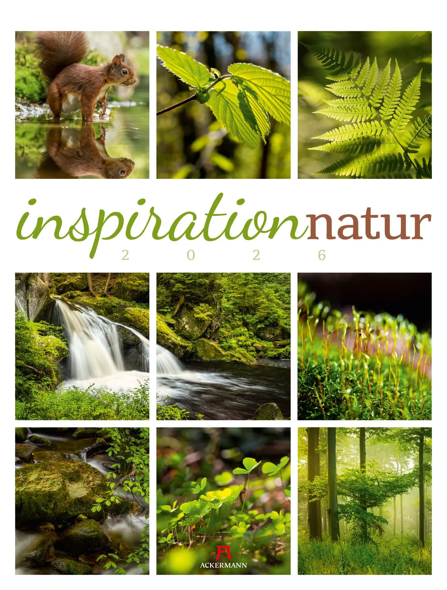 Cover: 9783838426853 | Inspiration Natur Kalender 2026 | Ackermann Kunstverlag GmbH | 14 S.