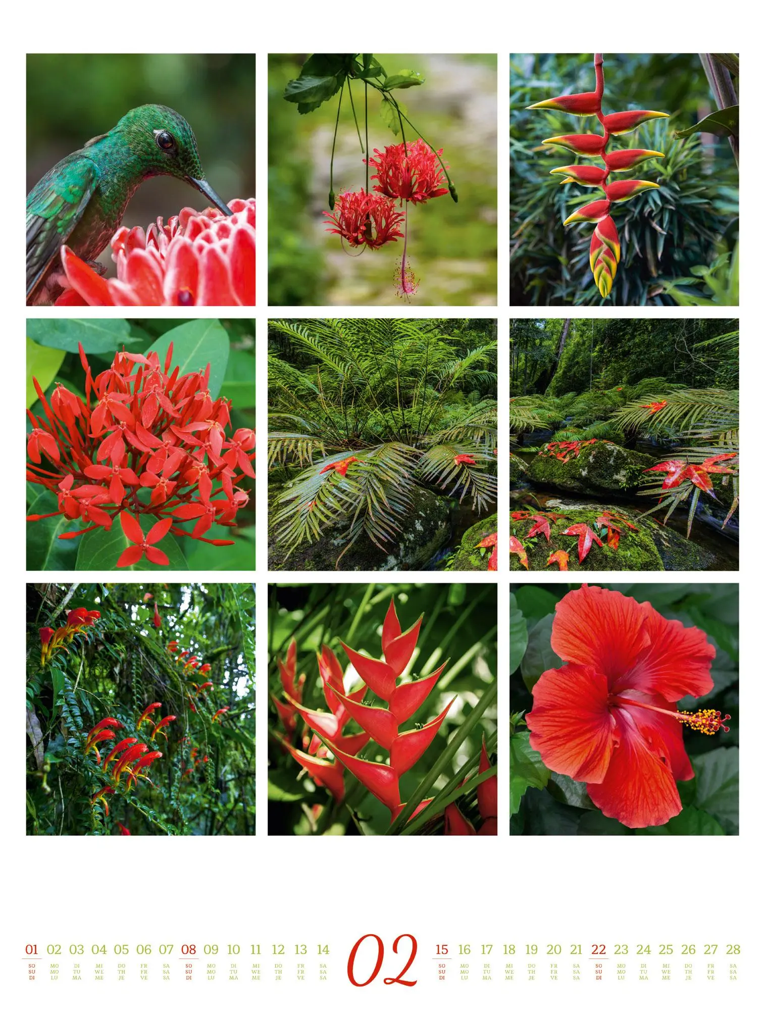 Bild: 9783838426853 | Inspiration Natur Kalender 2026 | Ackermann Kunstverlag GmbH | 14 S.