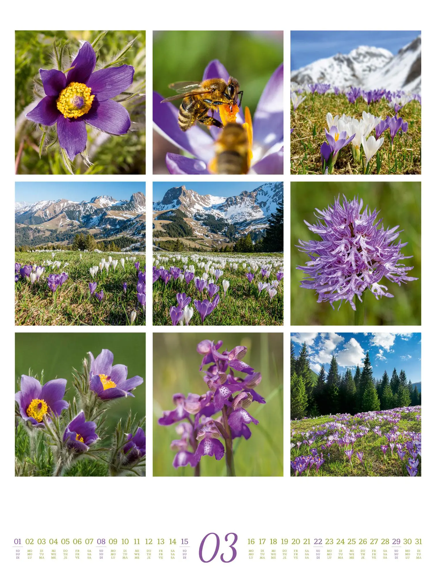 Bild: 9783838426853 | Inspiration Natur Kalender 2026 | Ackermann Kunstverlag GmbH | 14 S.