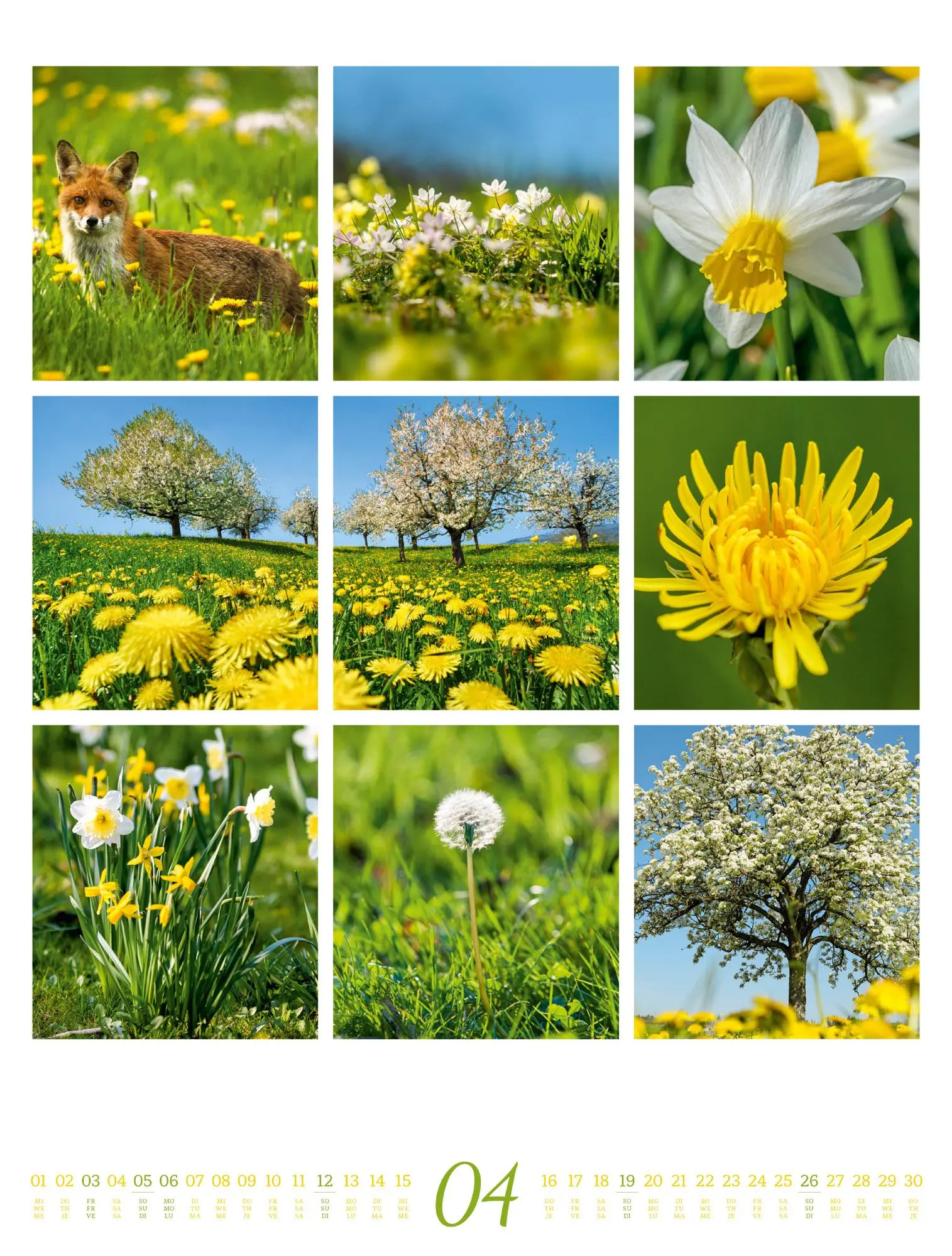 Bild: 9783838426853 | Inspiration Natur Kalender 2026 | Ackermann Kunstverlag GmbH | 14 S.