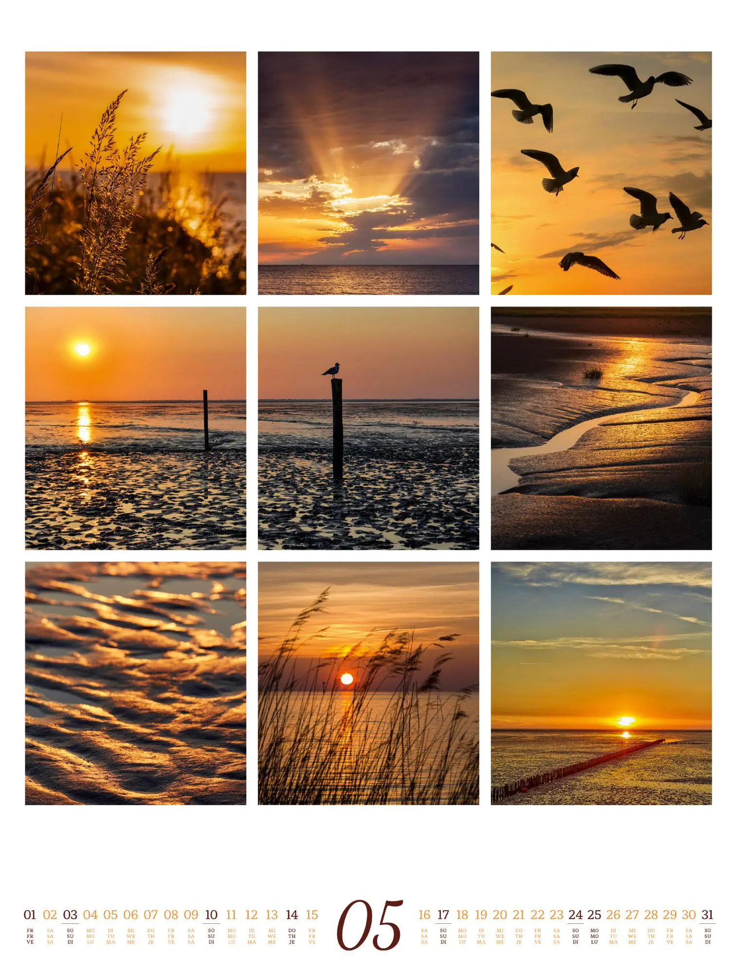 Bild: 9783838426853 | Inspiration Natur Kalender 2026 | Ackermann Kunstverlag GmbH | 14 S.