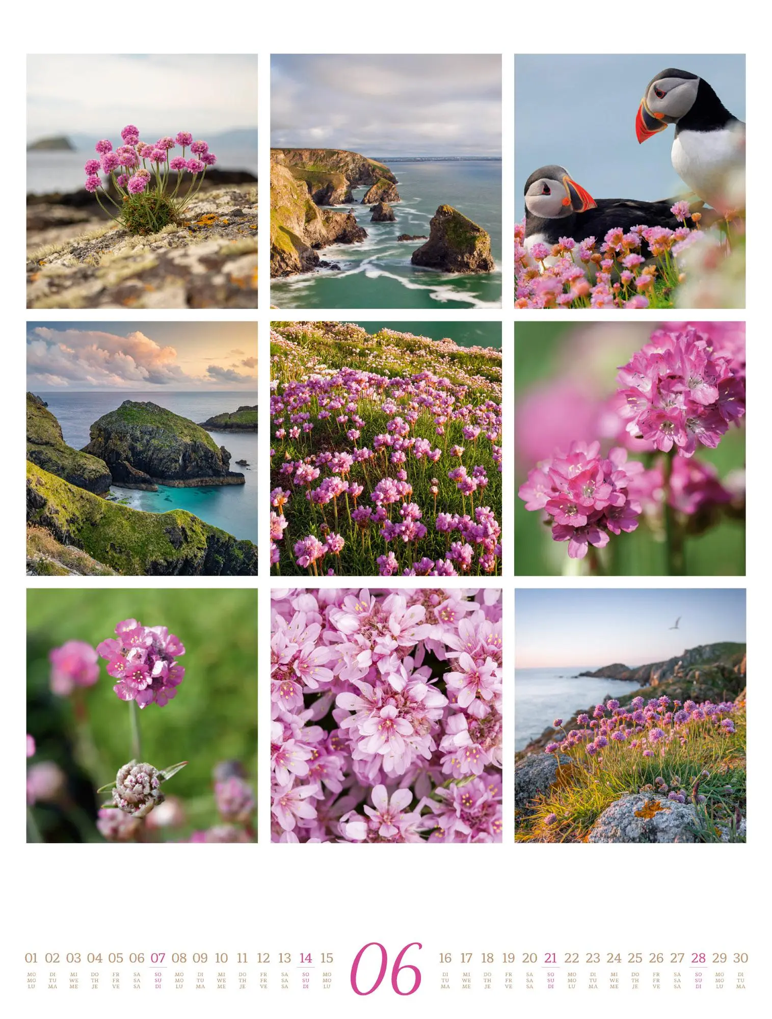 Bild: 9783838426853 | Inspiration Natur Kalender 2026 | Ackermann Kunstverlag GmbH | 14 S.