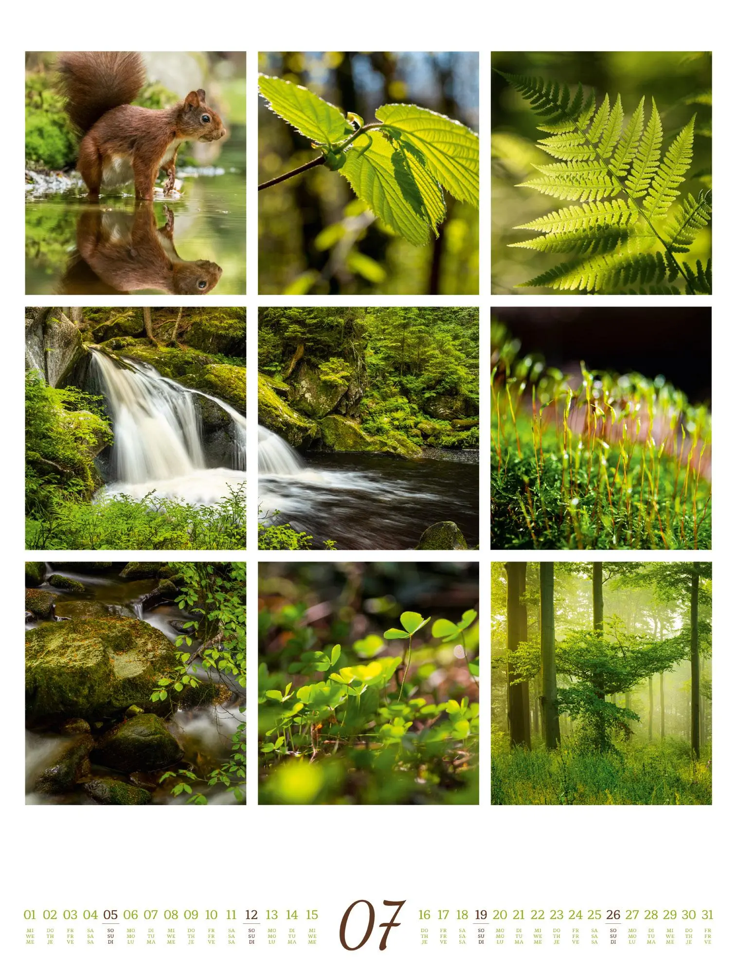 Bild: 9783838426853 | Inspiration Natur Kalender 2026 | Ackermann Kunstverlag GmbH | 14 S.