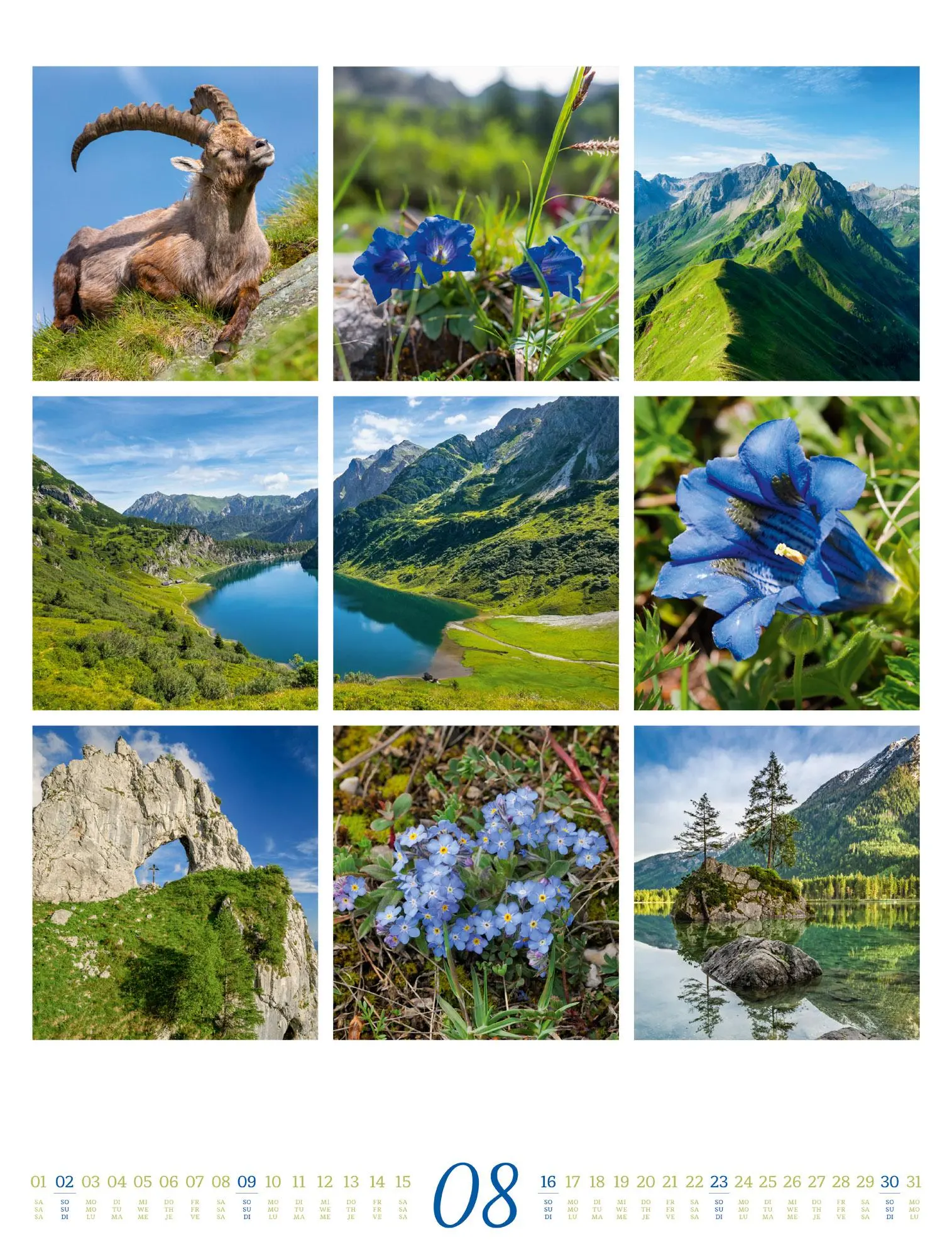 Bild: 9783838426853 | Inspiration Natur Kalender 2026 | Ackermann Kunstverlag GmbH | 14 S.