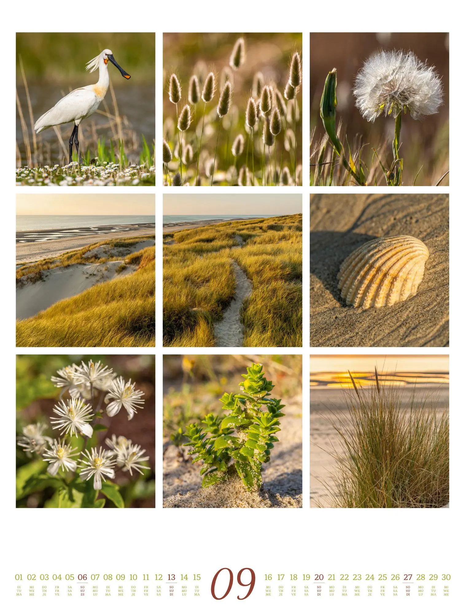 Bild: 9783838426853 | Inspiration Natur Kalender 2026 | Ackermann Kunstverlag GmbH | 14 S.