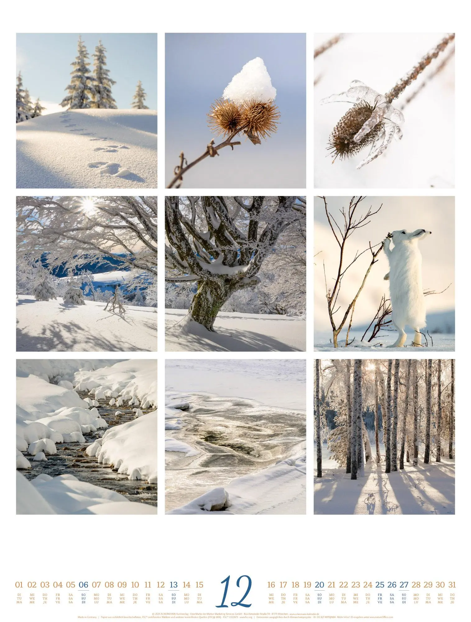 Bild: 9783838426853 | Inspiration Natur Kalender 2026 | Ackermann Kunstverlag GmbH | 14 S.