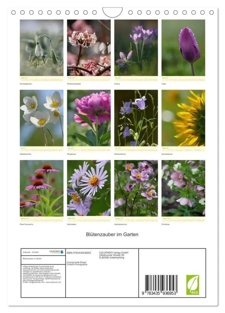 Bild: 9783435936953 | Blütenzauber im Garten (Wandkalender 2025 DIN A4 hoch), CALVENDO...