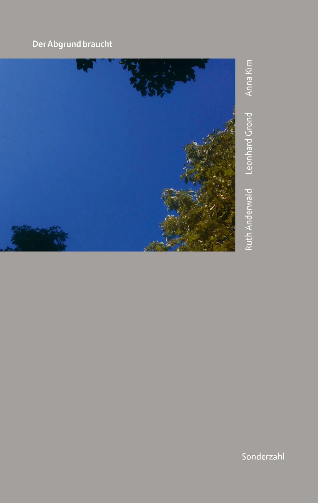 Cover: 9783854496953 | Der Abgrund braucht | Anna Kim (u. a.) | Taschenbuch | Deutsch | 2026