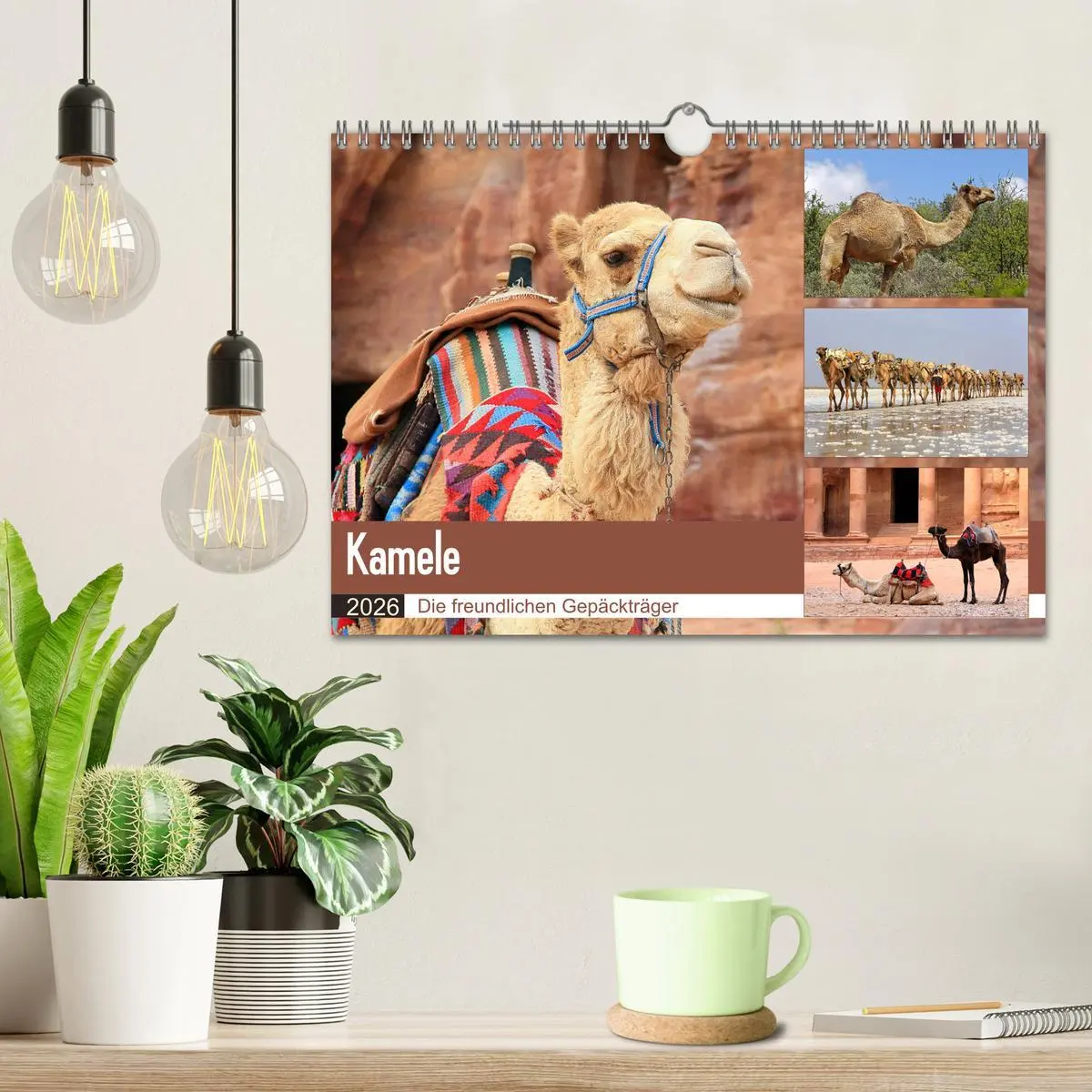 Bild: 9783457847053 | Kamele - Die freundlichen Gepäckträger (Wandkalender 2026 DIN A4...