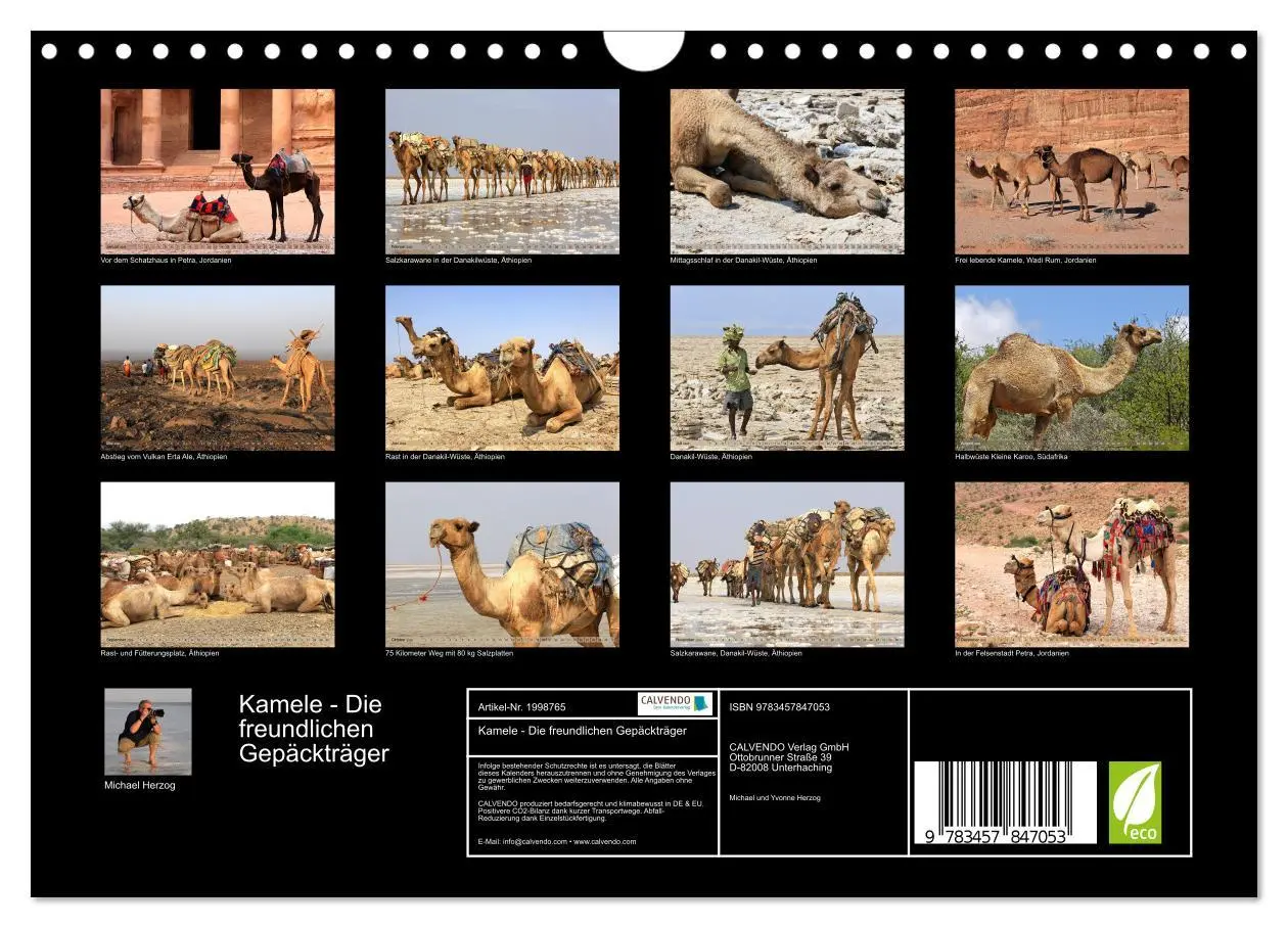 Bild: 9783457847053 | Kamele - Die freundlichen Gepäckträger (Wandkalender 2026 DIN A4...